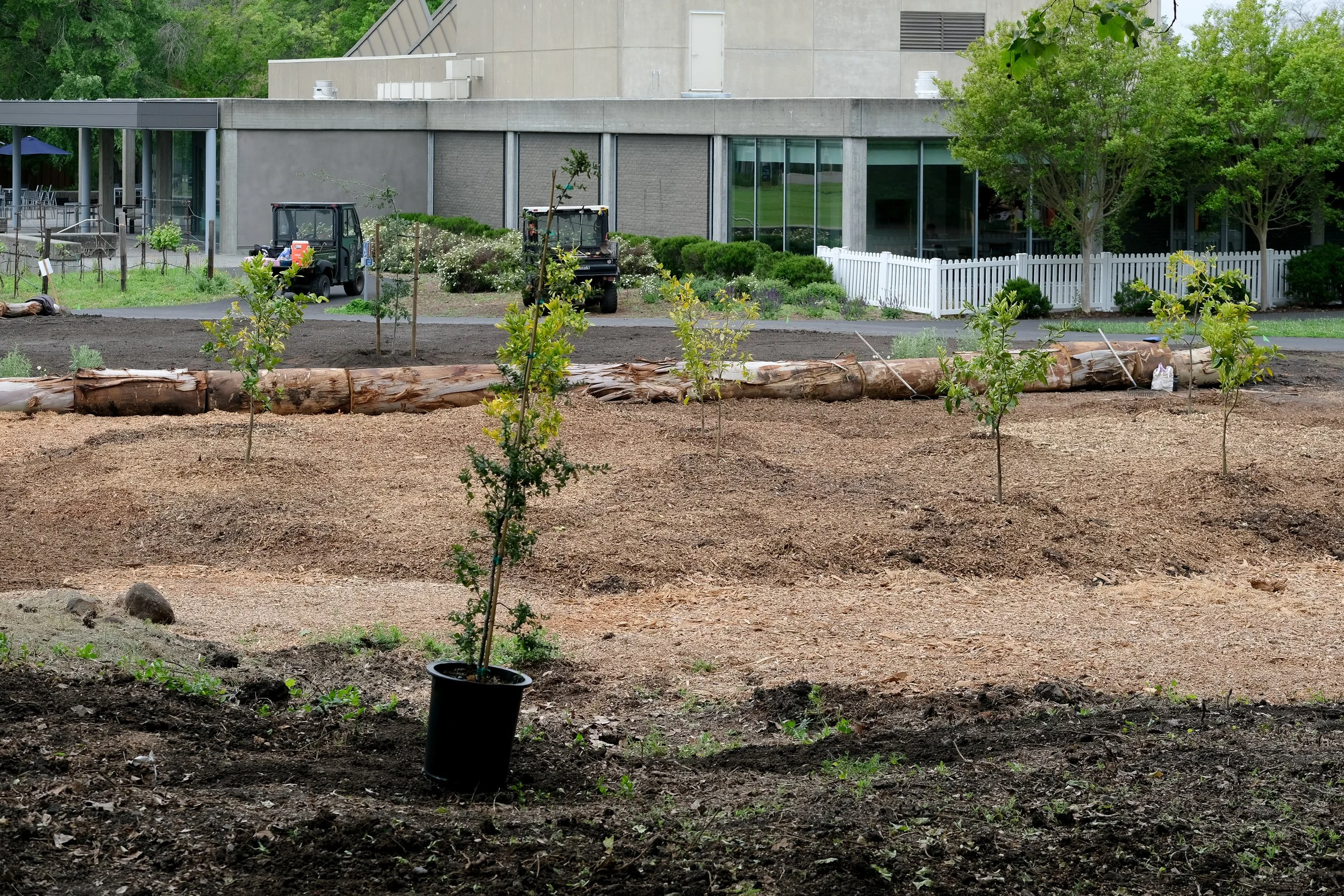 ReScape 05-07-25 - Sonoma State University_-082.jpg