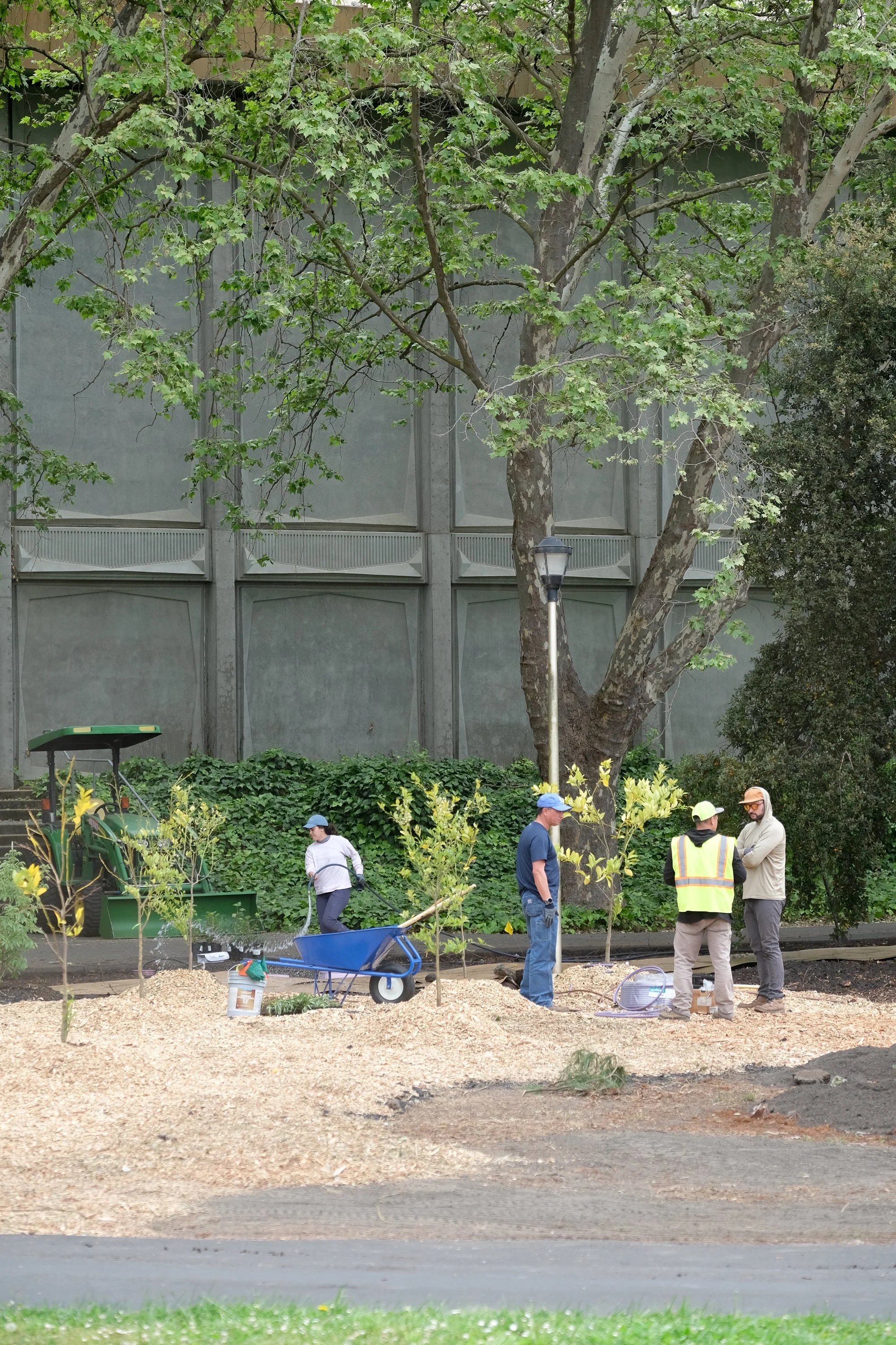 ReScape 05-07-25 - Sonoma State University_-091.jpg