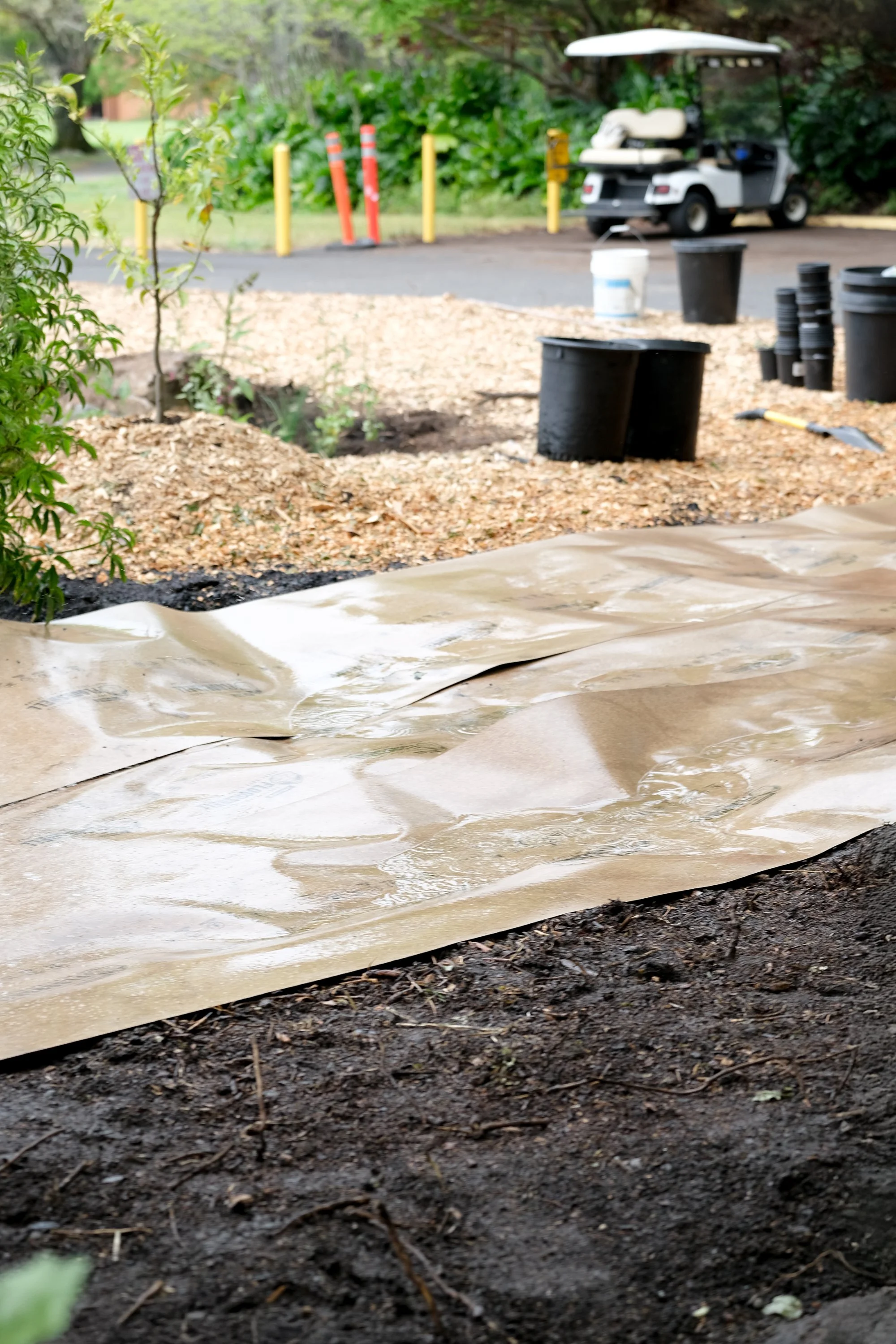 ReScape 05-07-25 - Sonoma State University_-097_UPDATE.jpg