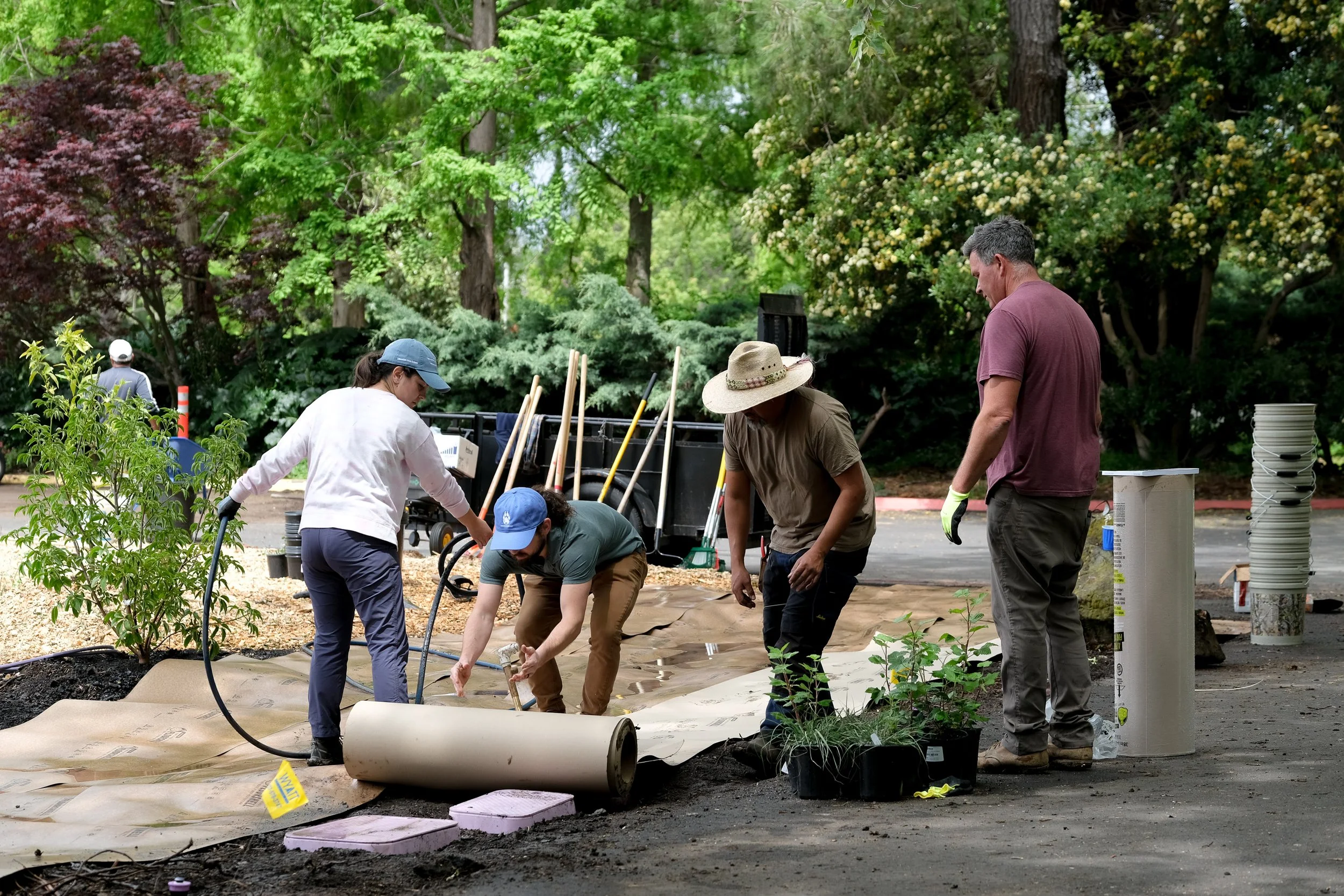 ReScape 05-07-25 - Sonoma State University_-108.jpg
