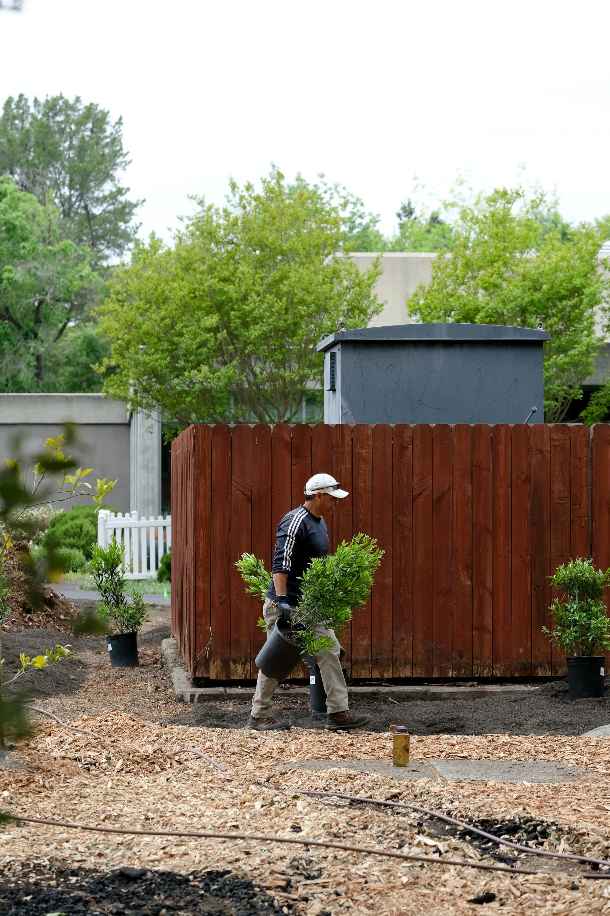 ReScape 05-07-25 - Sonoma State University_-117.jpg