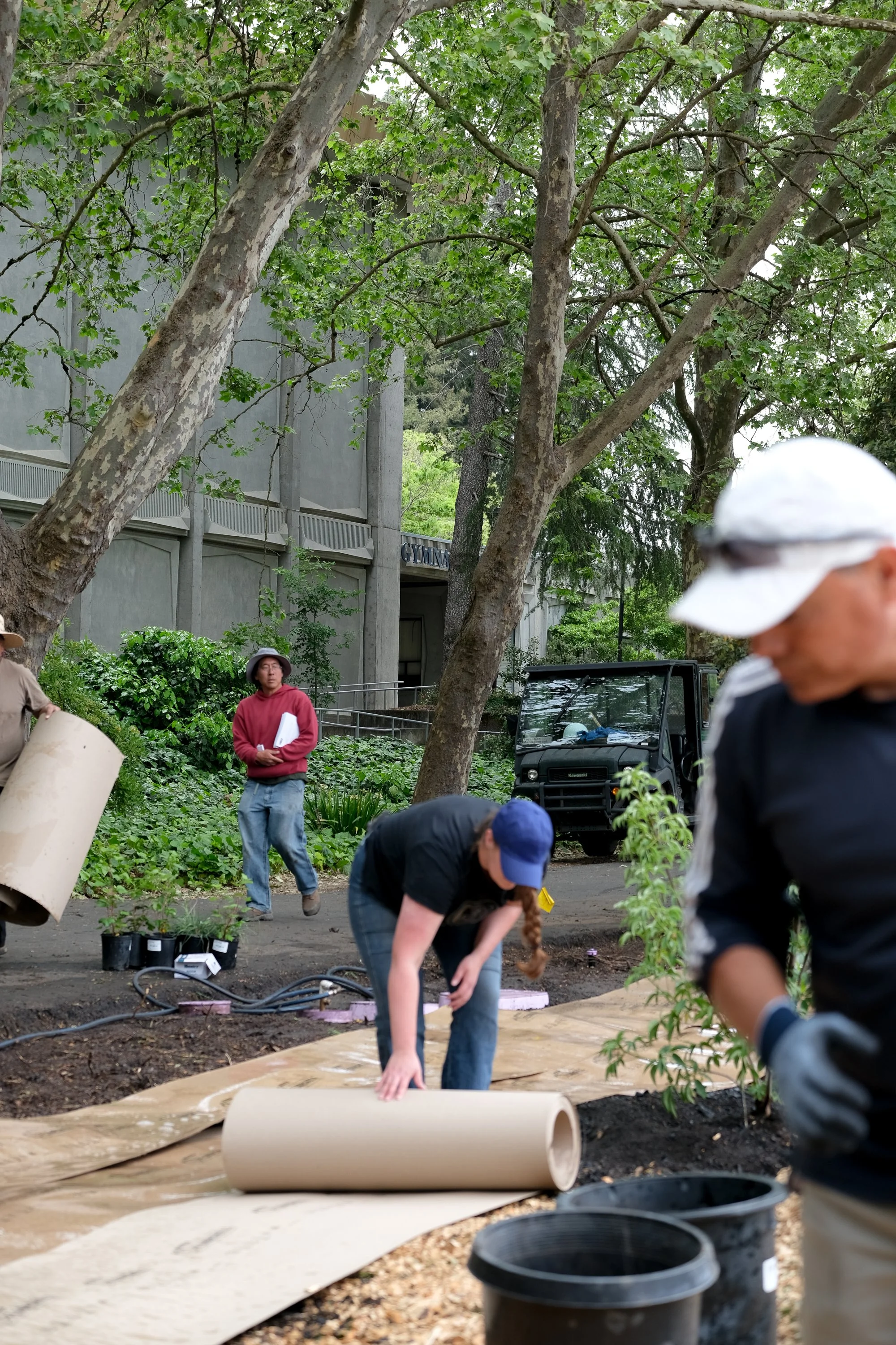 Sonoma State University