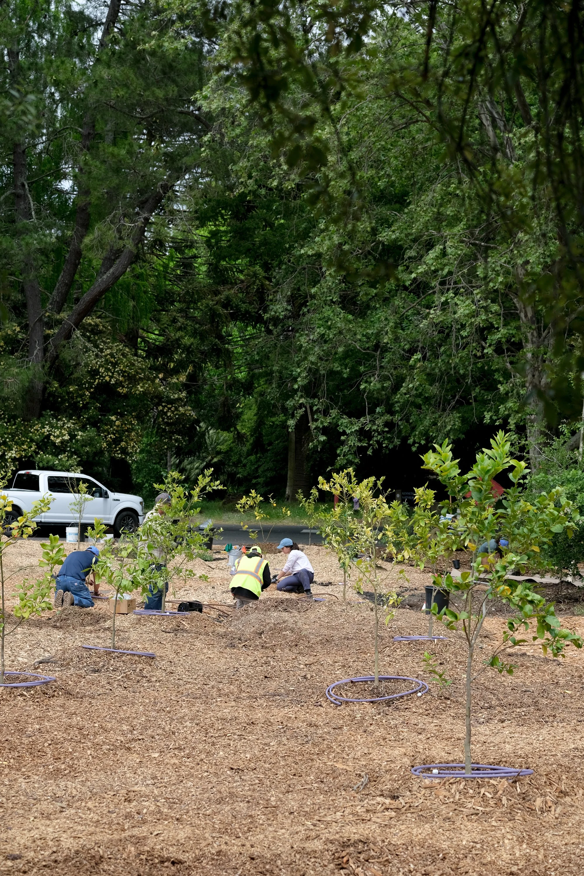 ReScape 05-07-25 - Sonoma State University_-122.jpg