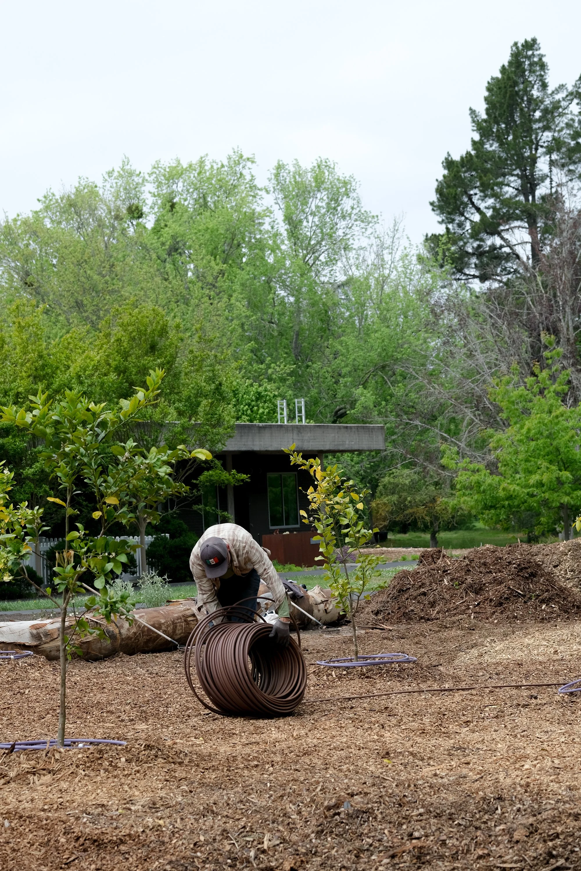 ReScape 05-07-25 - Sonoma State University_-124.jpg