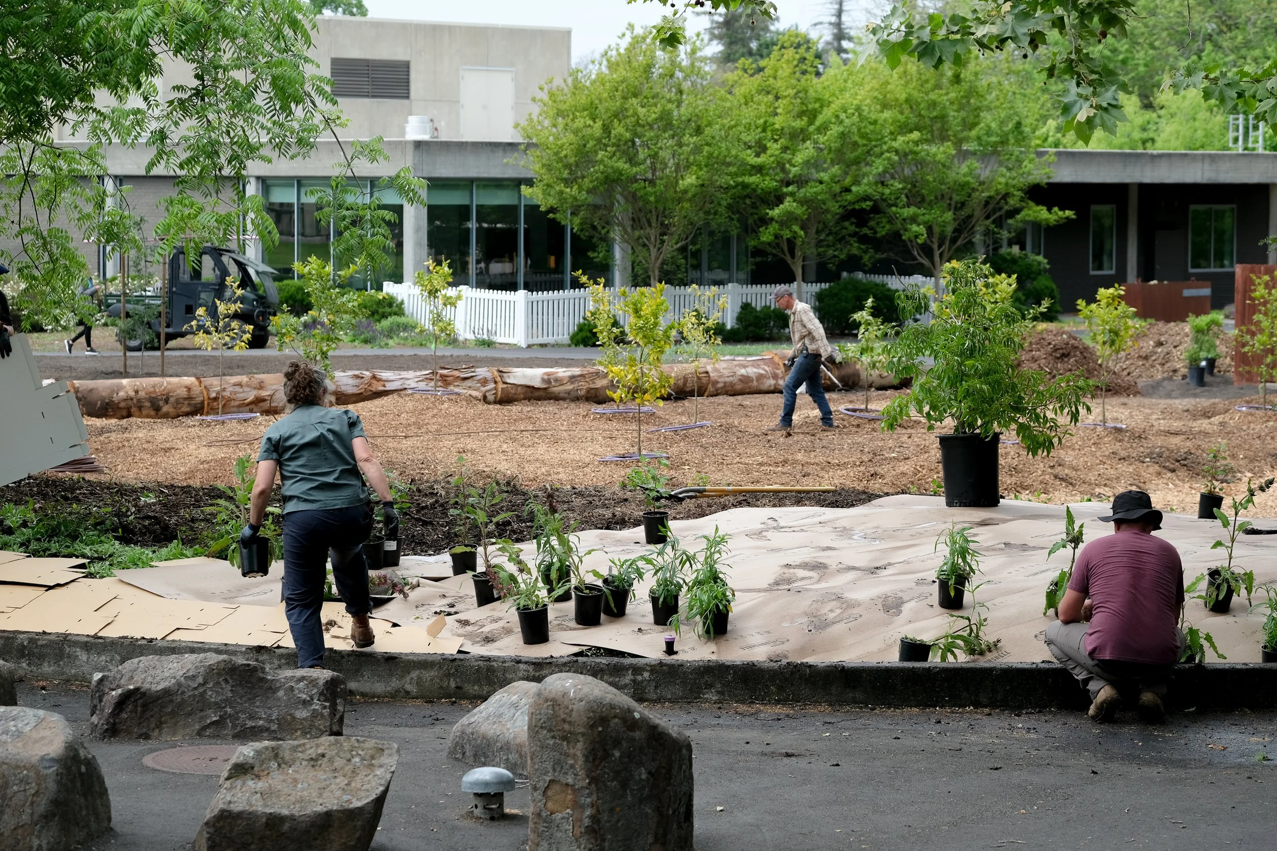 ReScape 05-07-25 - Sonoma State University_-125.jpg