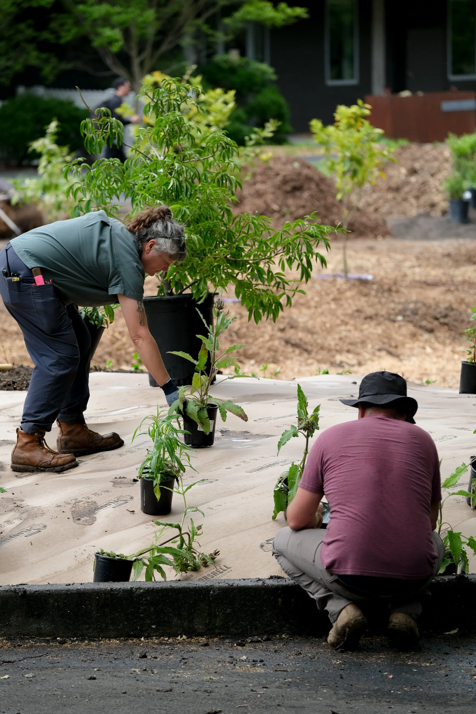 ReScape 05-07-25 - Sonoma State University_-127.jpg
