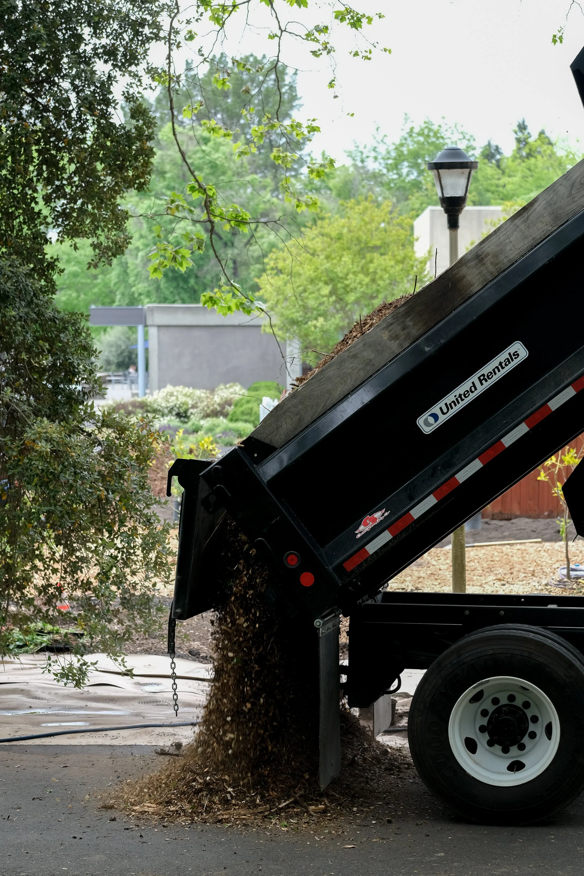 ReScape 05-07-25 - Sonoma State University_-129.jpg