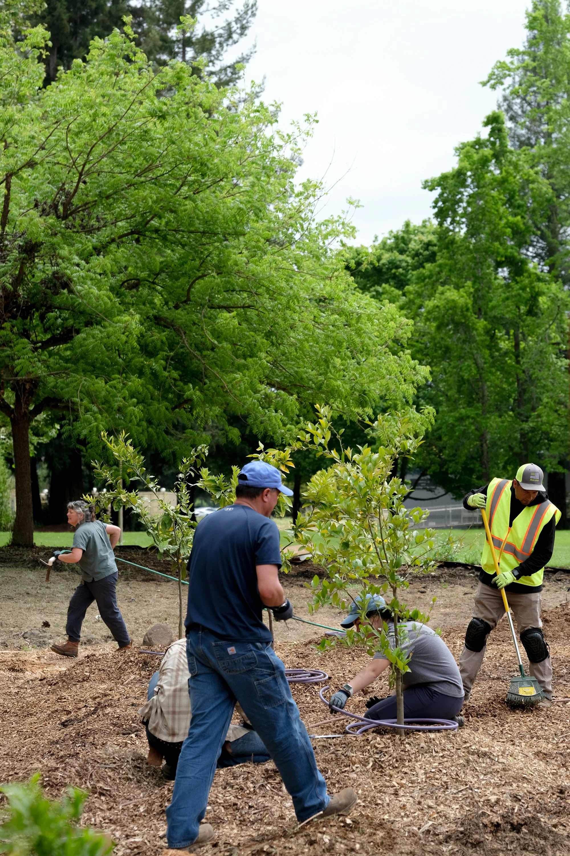 ReScape 05-07-25 - Sonoma State University_-133_UPDATE.jpg