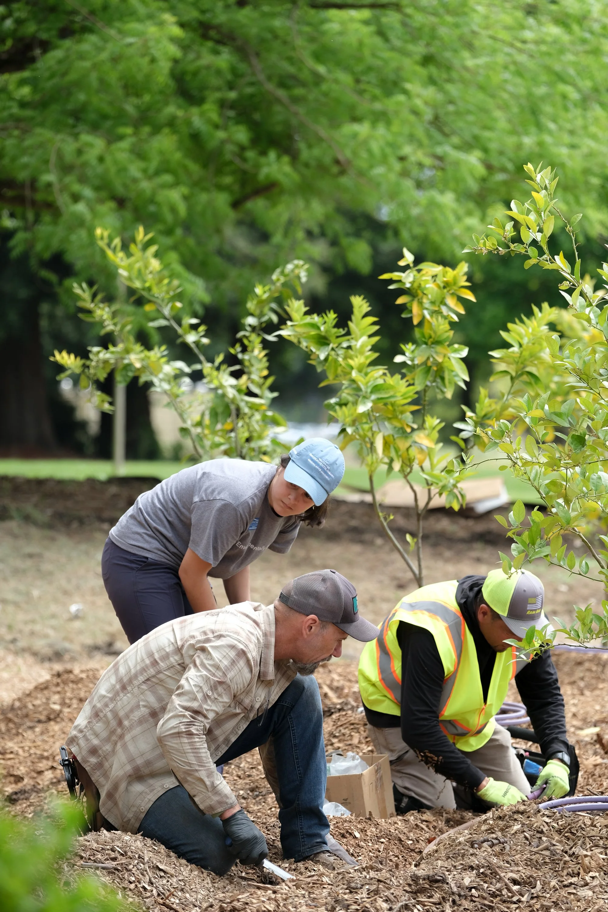 ReScape 05-07-25 - Sonoma State University_-137.jpg