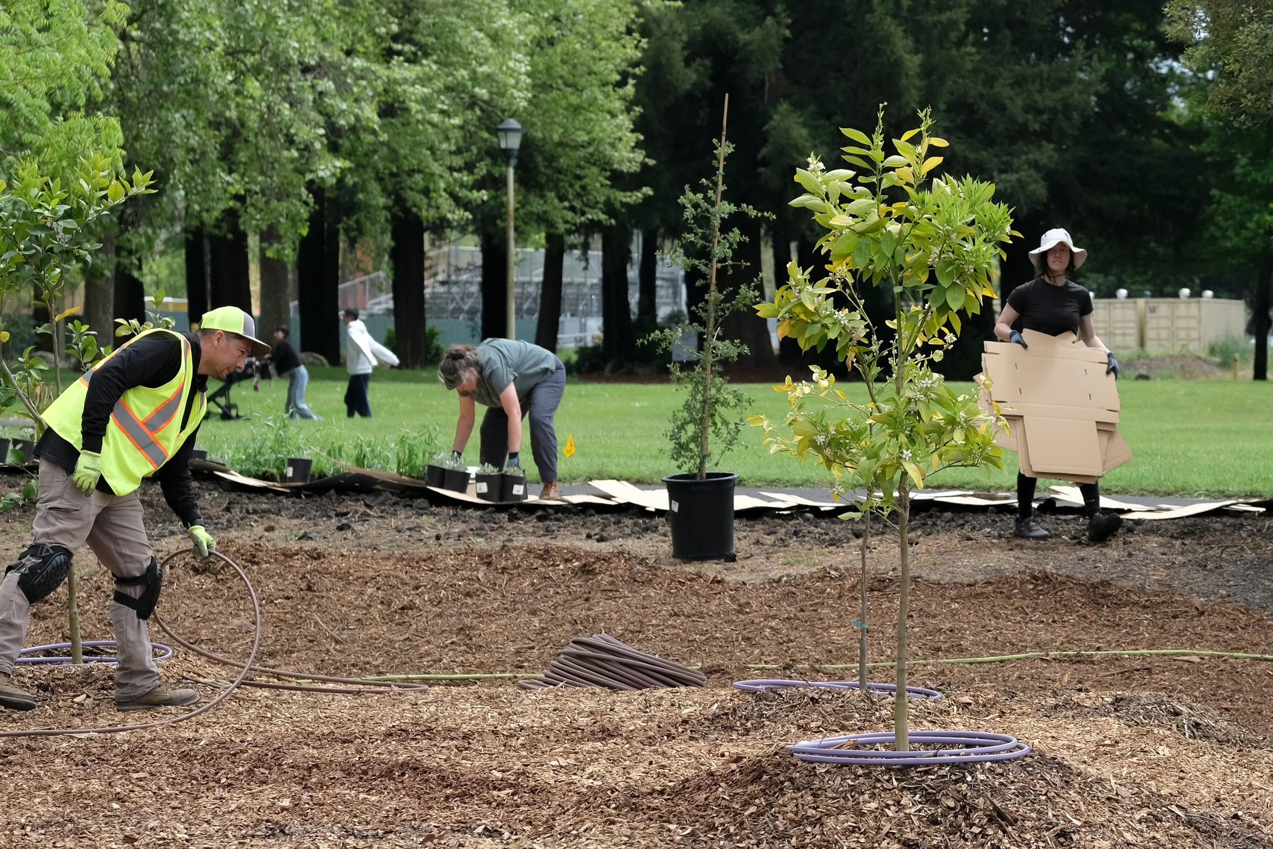 ReScape 05-07-25 - Sonoma State University_-138.jpg