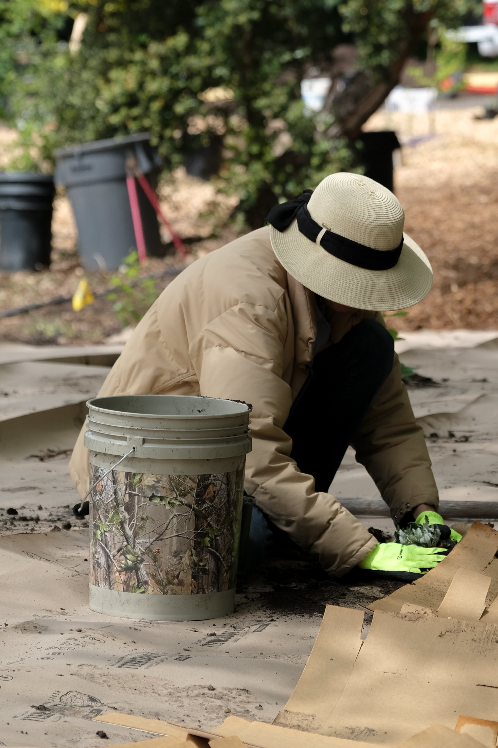 ReScape 05-07-25 - Sonoma State University_-146.jpg