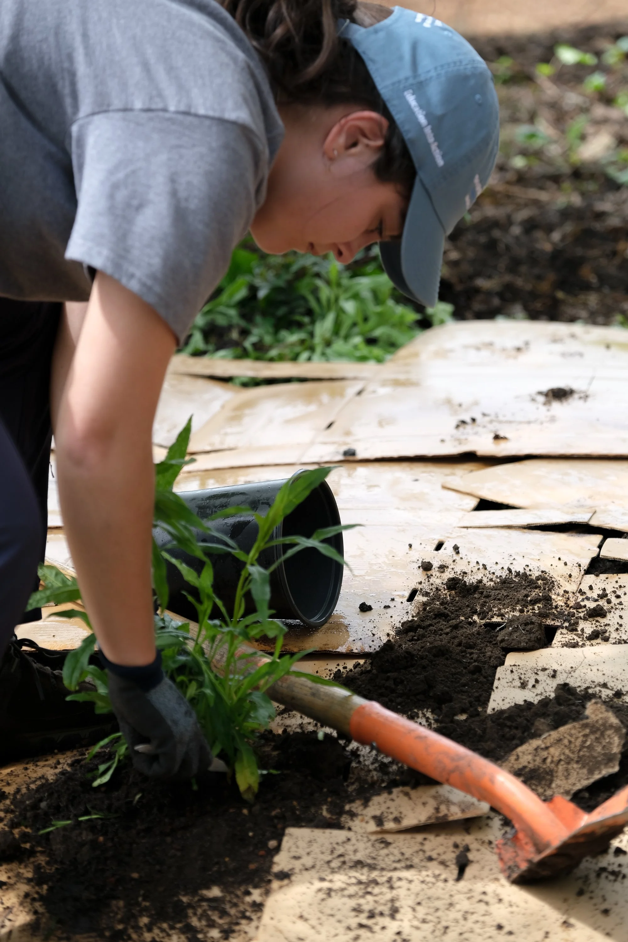 ReScape 05-07-25 - Sonoma State University_-154.jpg