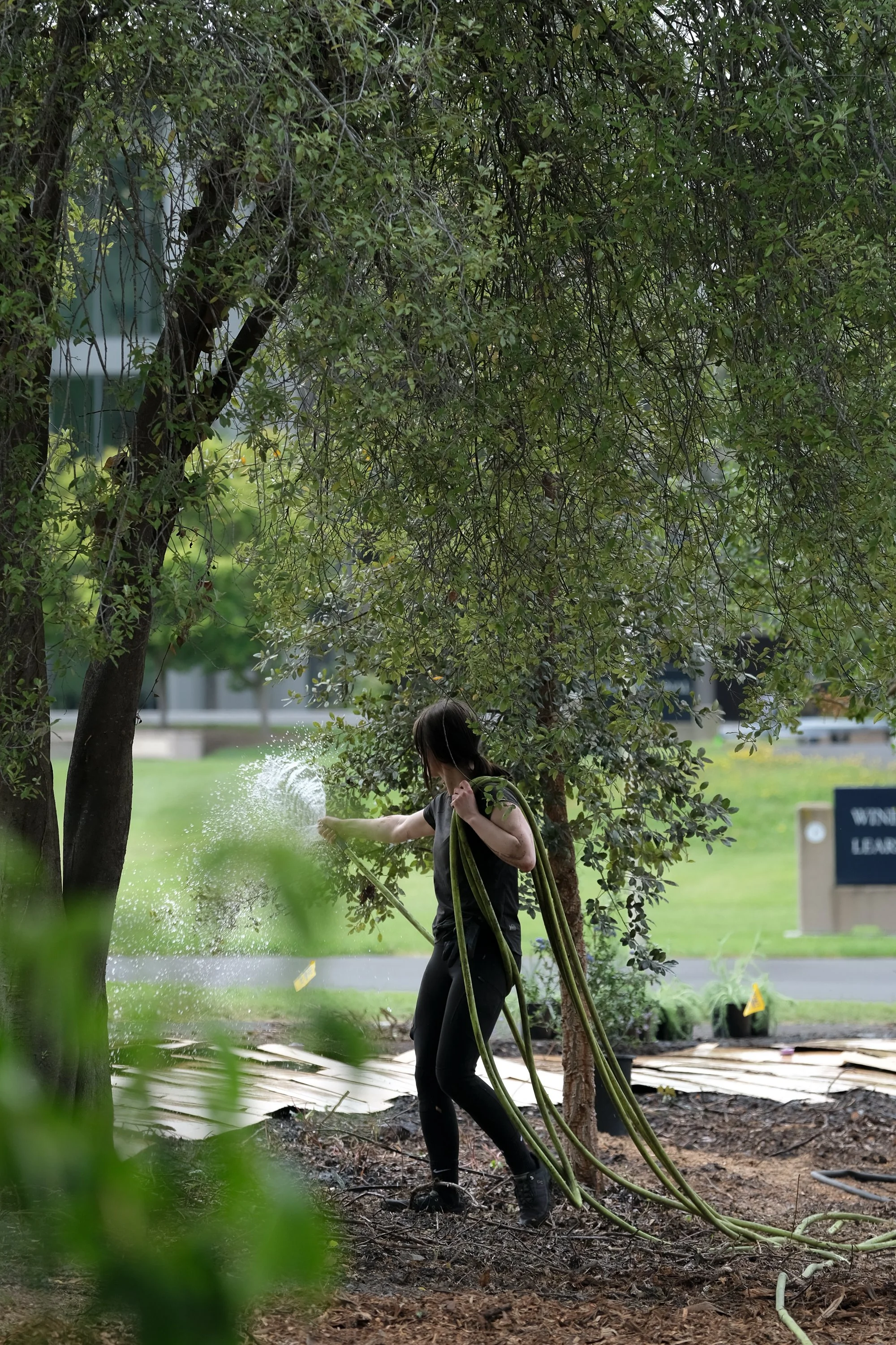 ReScape 05-07-25 - Sonoma State University_-163.jpg