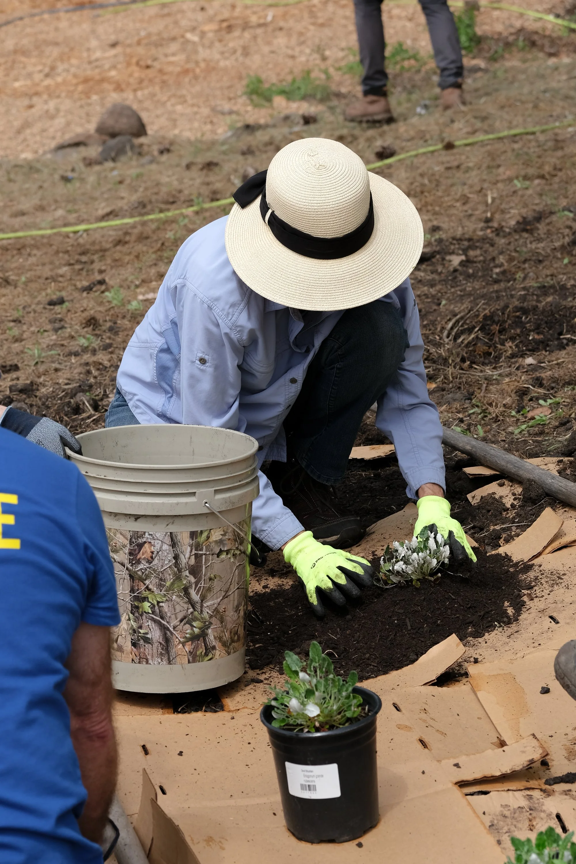 ReScape 05-07-25 - Sonoma State University_-176.jpg