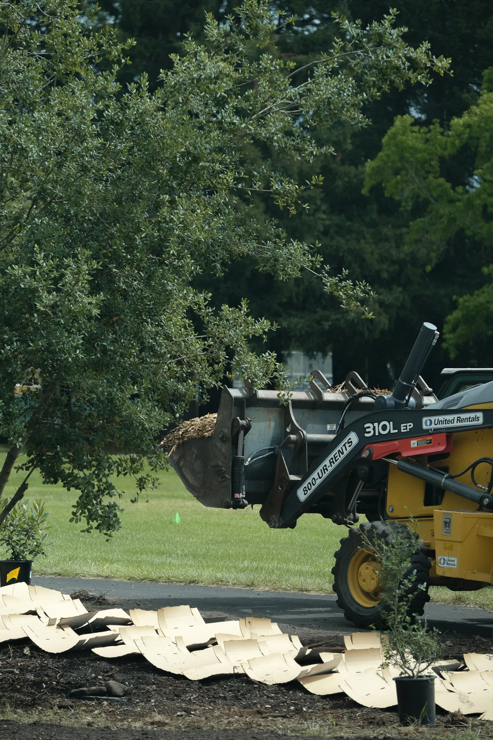 ReScape 05-07-25 - Sonoma State University_-181.jpg