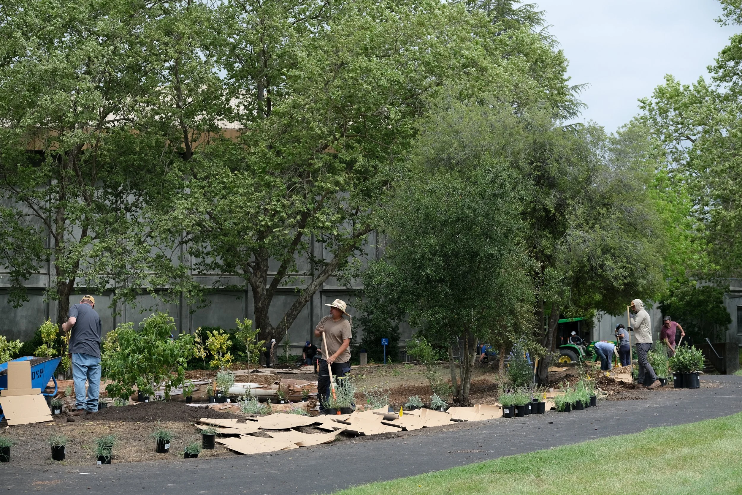 ReScape 05-07-25 - Sonoma State University_-182.jpg