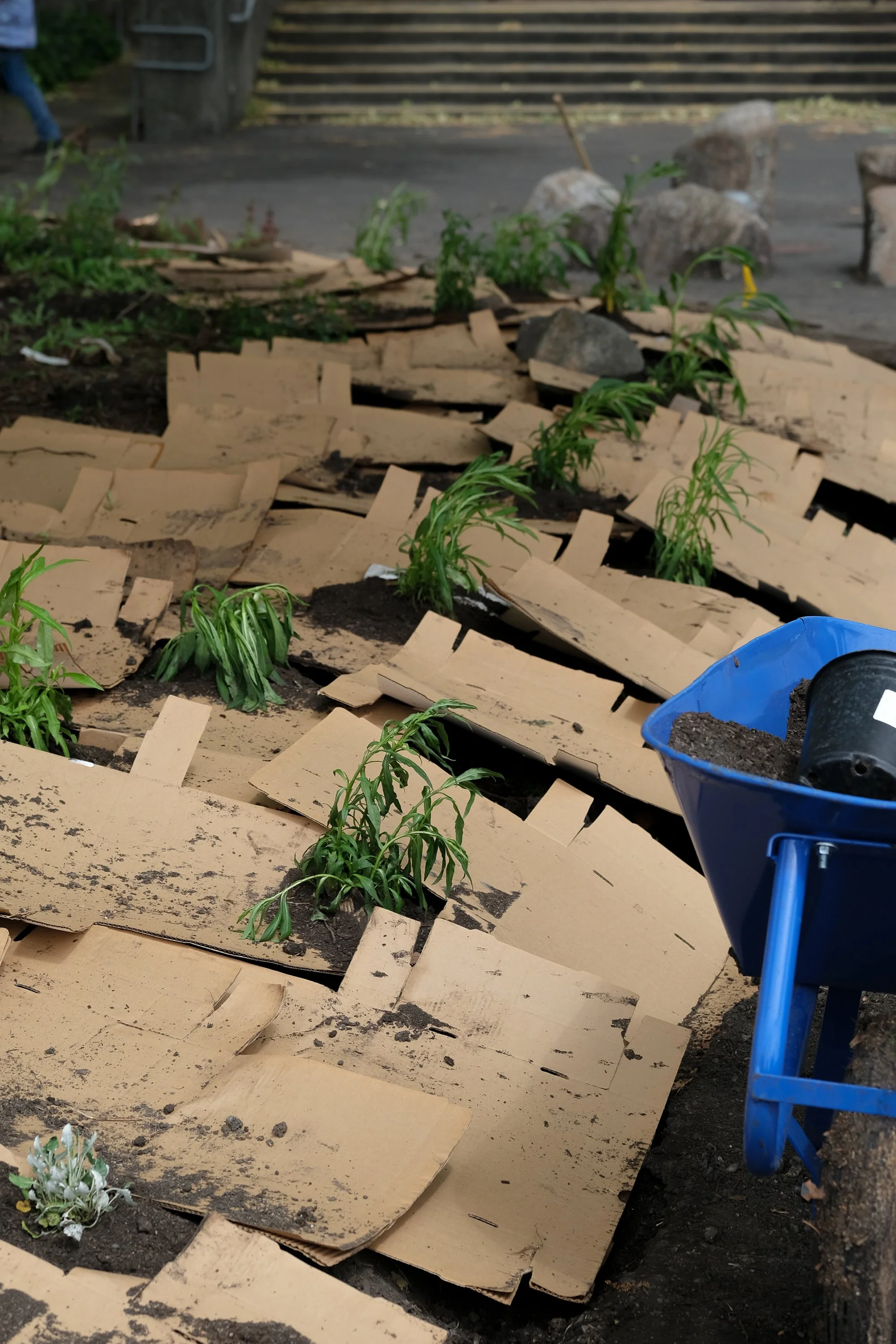 ReScape 05-07-25 - Sonoma State University_-184.jpg