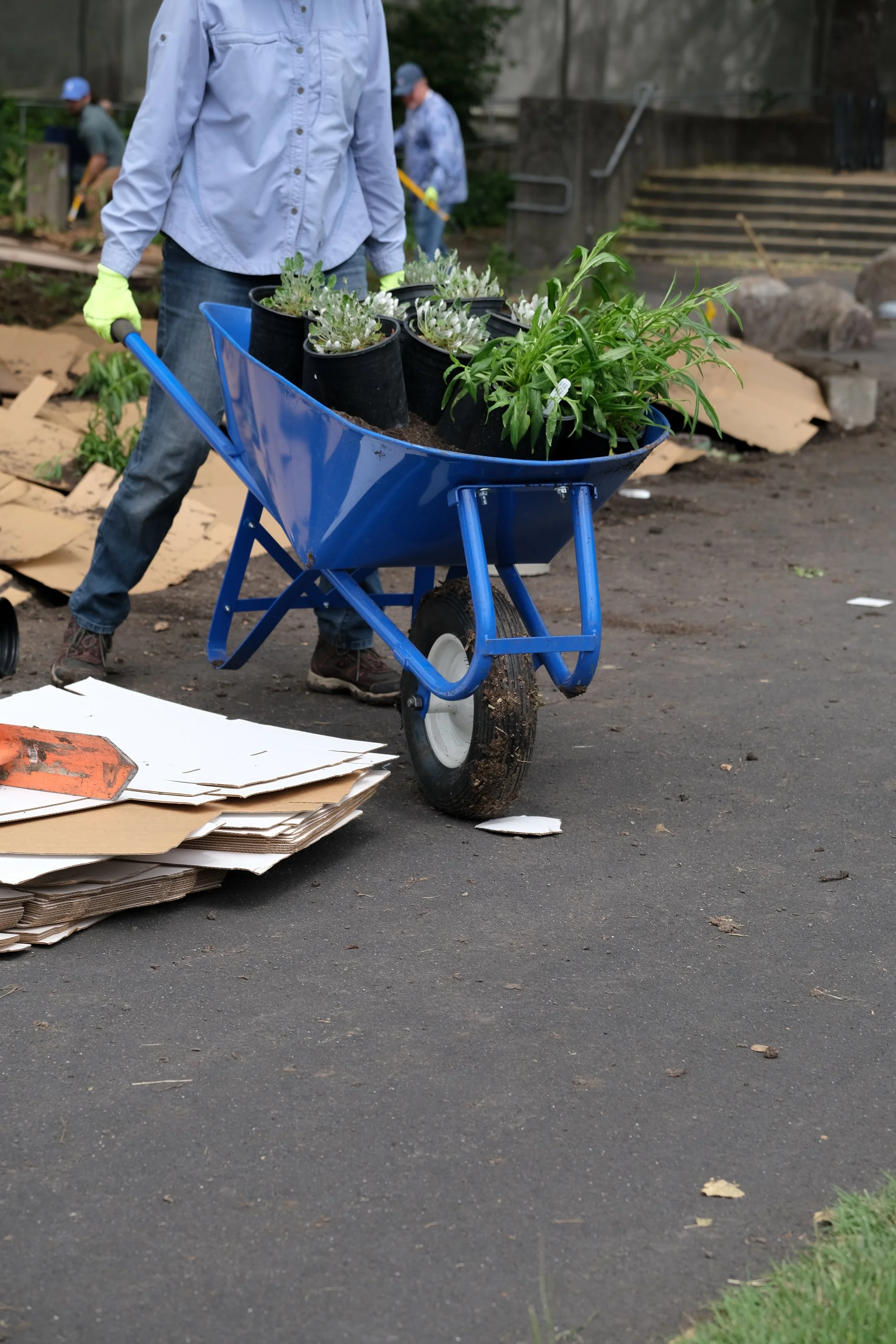 ReScape 05-07-25 - Sonoma State University_-185.jpg