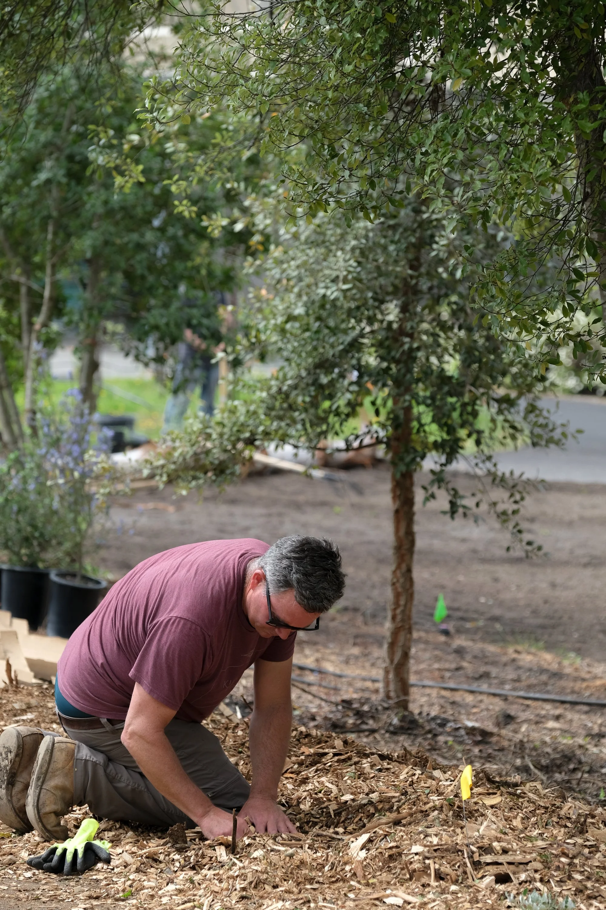 ReScape 05-07-25 - Sonoma State University_-189.jpg