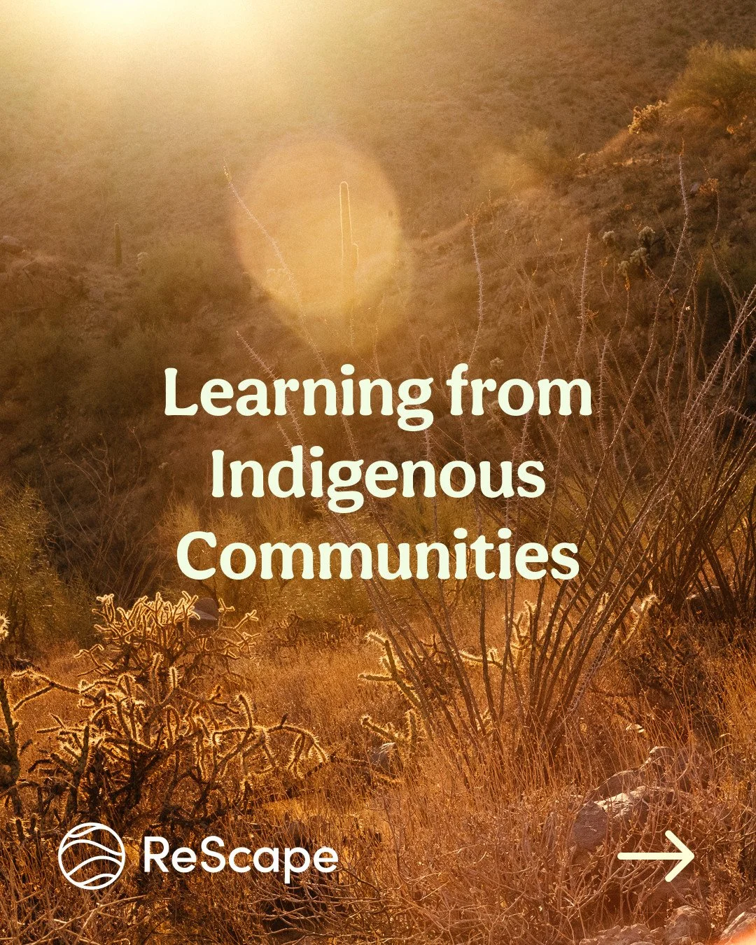 Regenerative landscaping isn't a "new" trend&mdash;it&rsquo;s rooted in the ancient, sophisticated science of Indigenous communities. 🌿 ⁠
⁠
In a recent article in @prolandscaperusa, our Executive Director Milena Fiore shares how we honor t