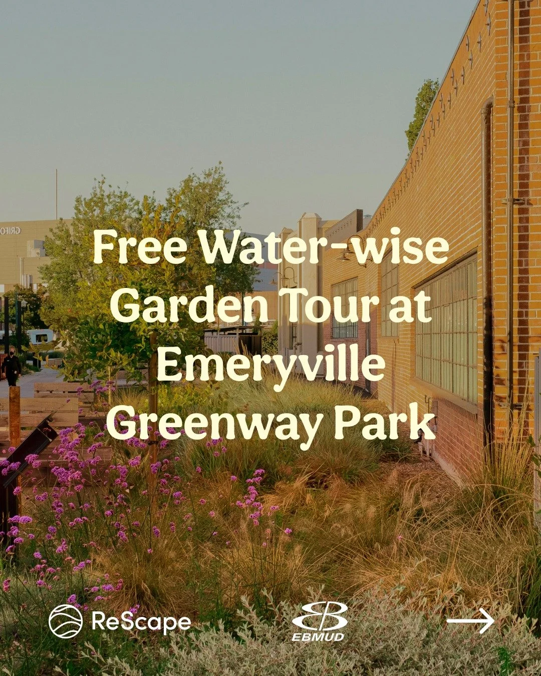 Join ReScape and @ebmud_water for a free garden tour at the @cityofemeryville Greenway Park! See firsthand how this industrial space was transformed into a thriving greenway. 

📍 Emeryville Greenway Park
🗓️ Saturday, June 6th
🕙 10:00 AM &ndash; 1:
