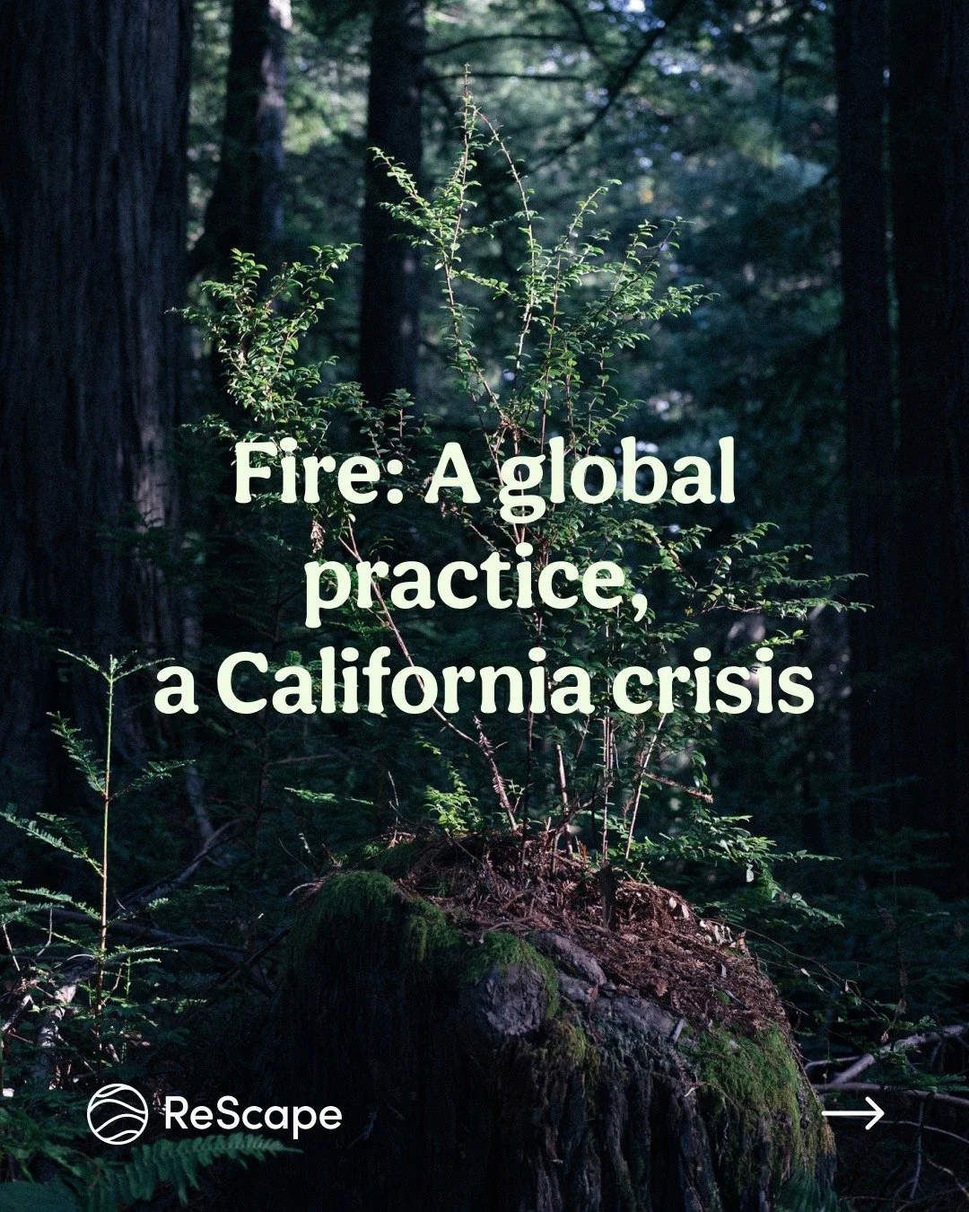 We must look to Indigenous fire management&mdash;a sophisticated, time-tested science&mdash;as the industry gold standard for creating regenerative, fire-resilient landscapes that protect our communities and restore ecological health. 

In a recent a