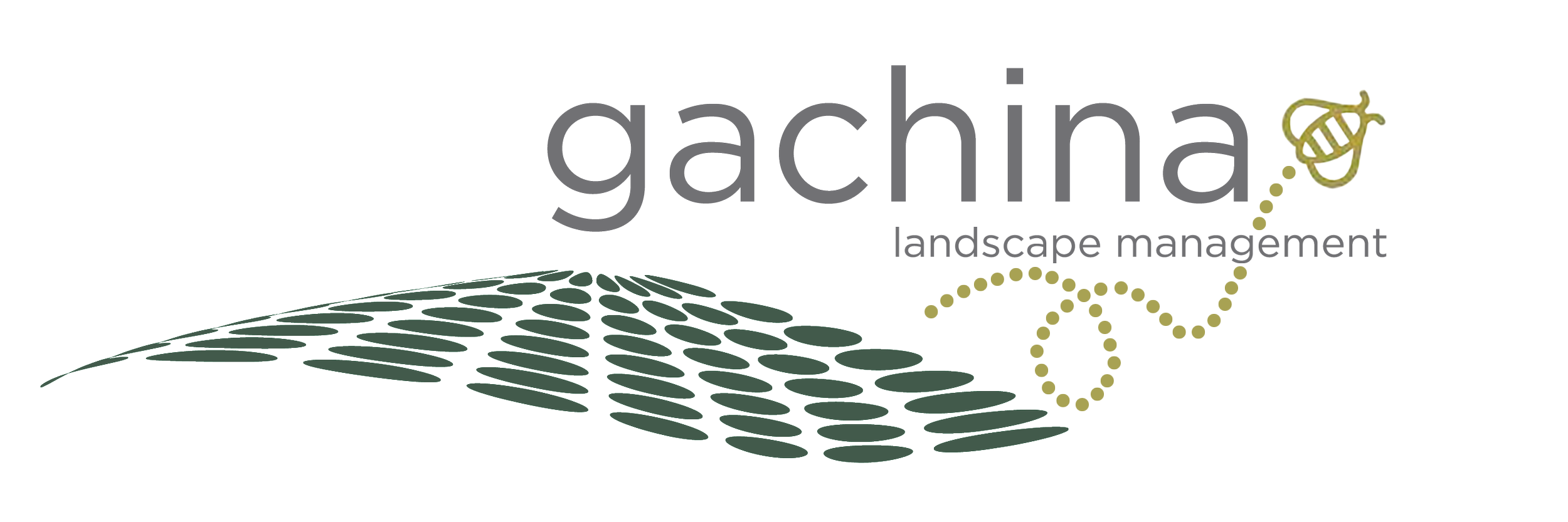 Gachina-Logo-Color-Final-NEW.png