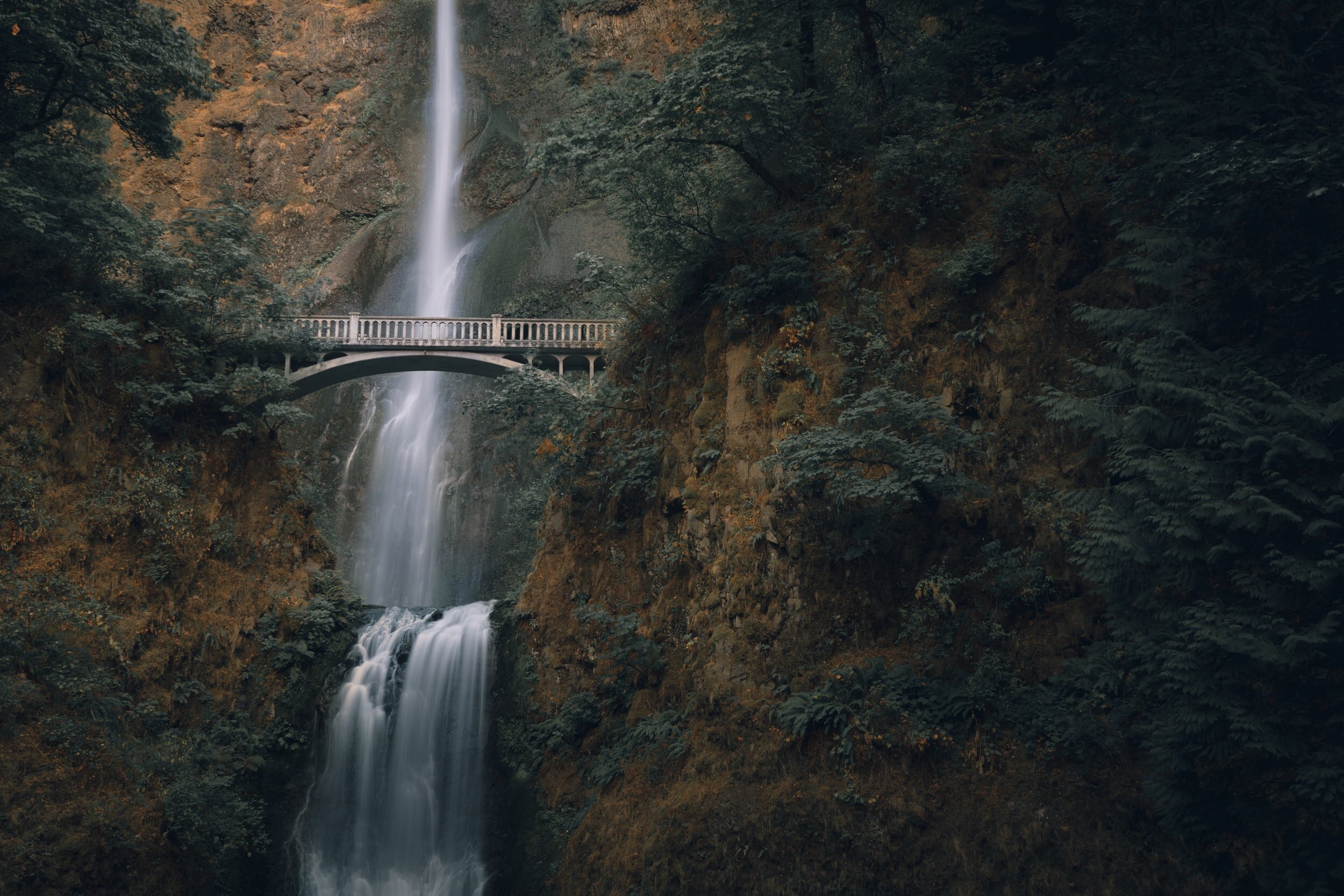 COVID-19 Update: Oregon OSHA Temporary Rule