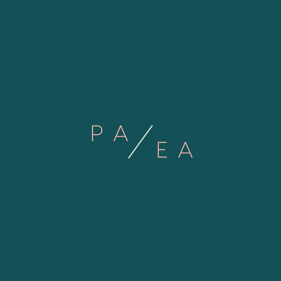 Text on a teal background saying "P/A E/A" with a slash between the letters.