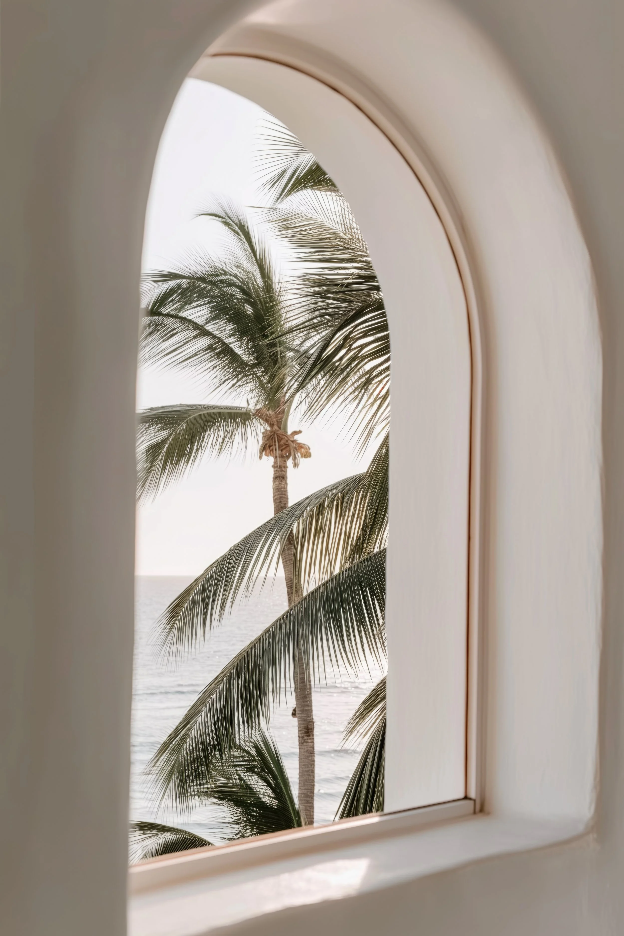 View through a window with an arched frame, showing a palm tree and a body of water in the distance.