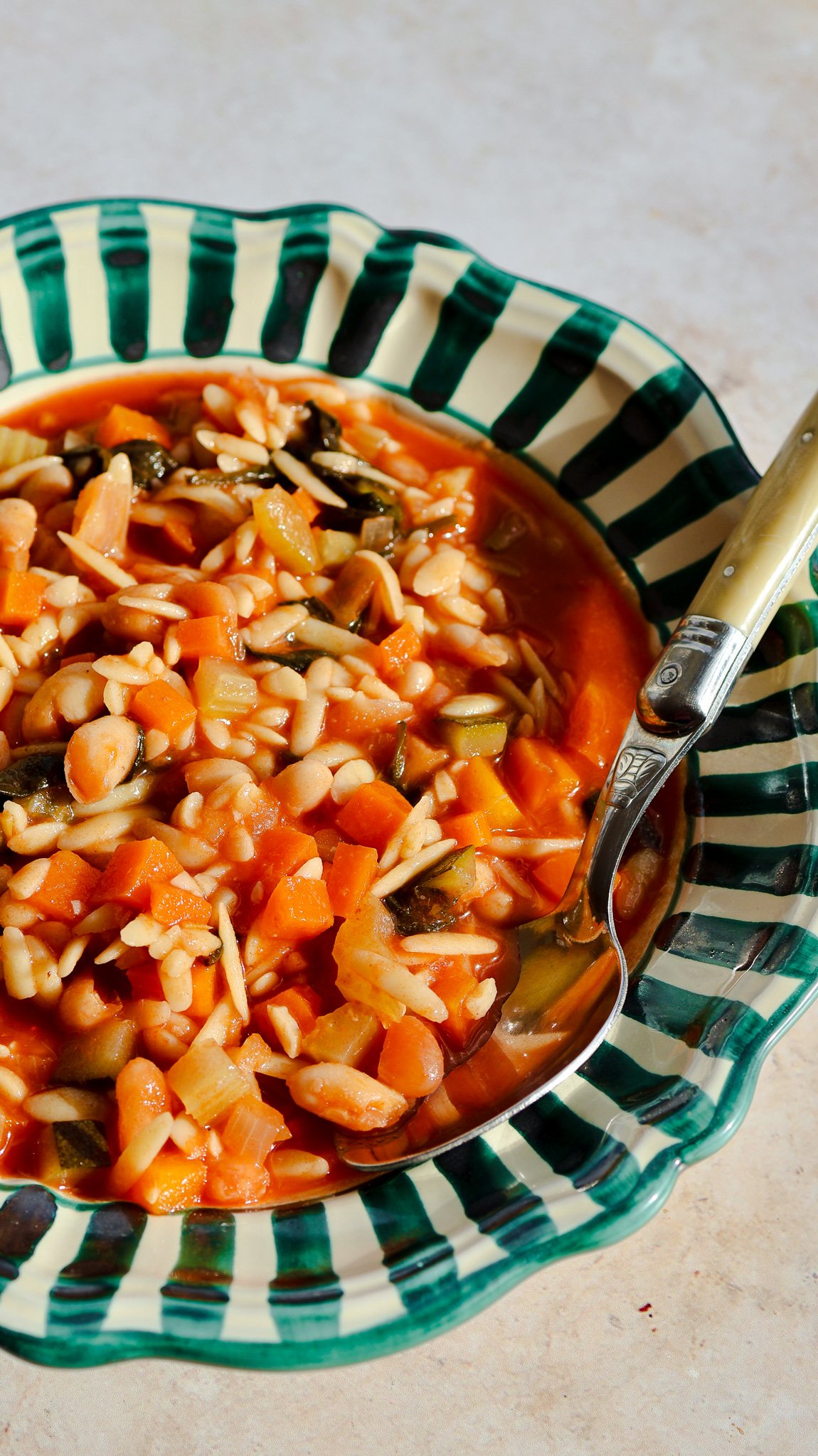 Classic Minestrone Soup