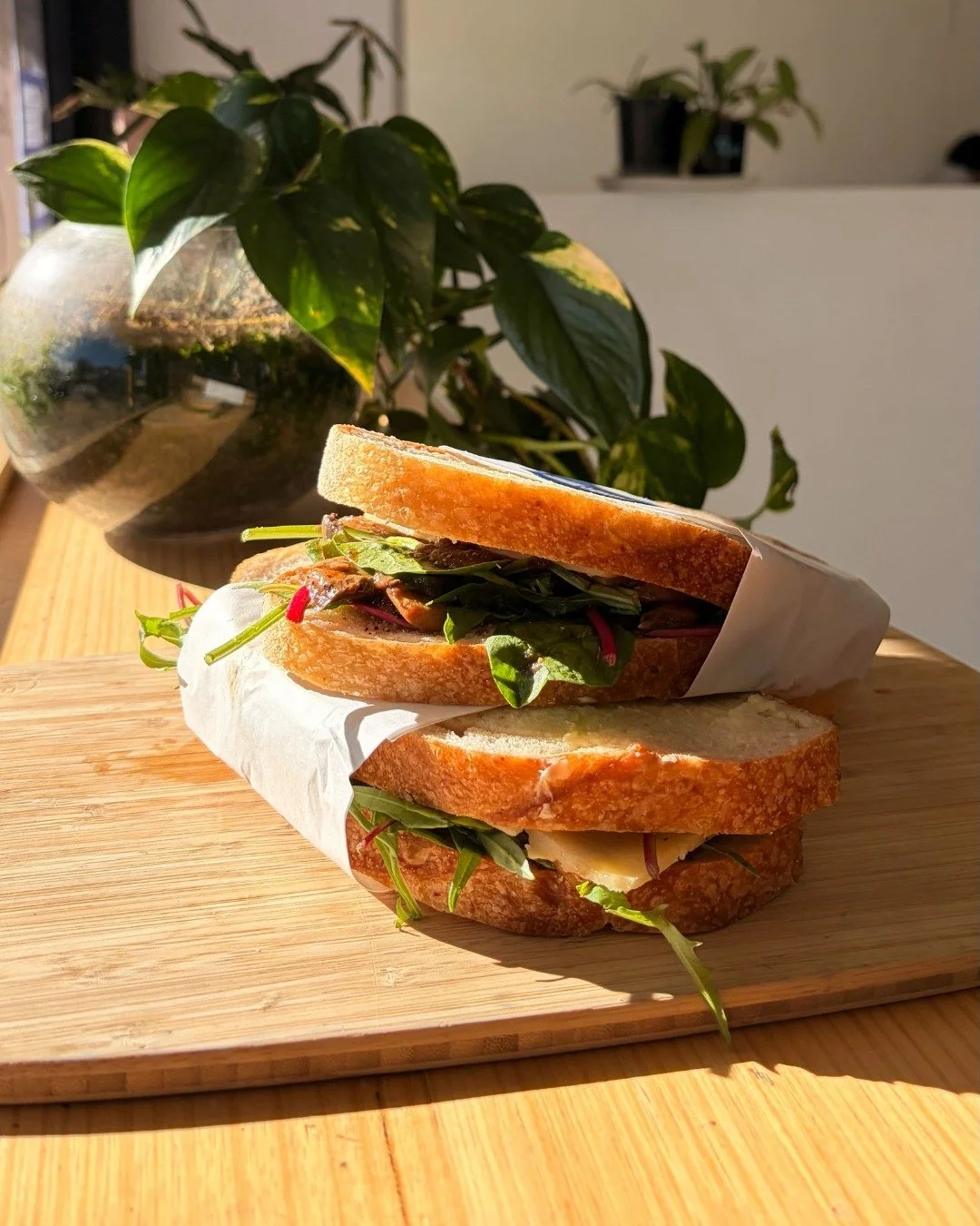 New toastie drop at Balaclava 👀

Meet the BBQ Mushroom. Crispy sourdough stacked with saucy BBQ mushrooms, spinach, pickled dill cucumbers and plenty of gooey melted cheddar.

It&rsquo;s rich, a little tangy, and very hard to share. Swing by and try