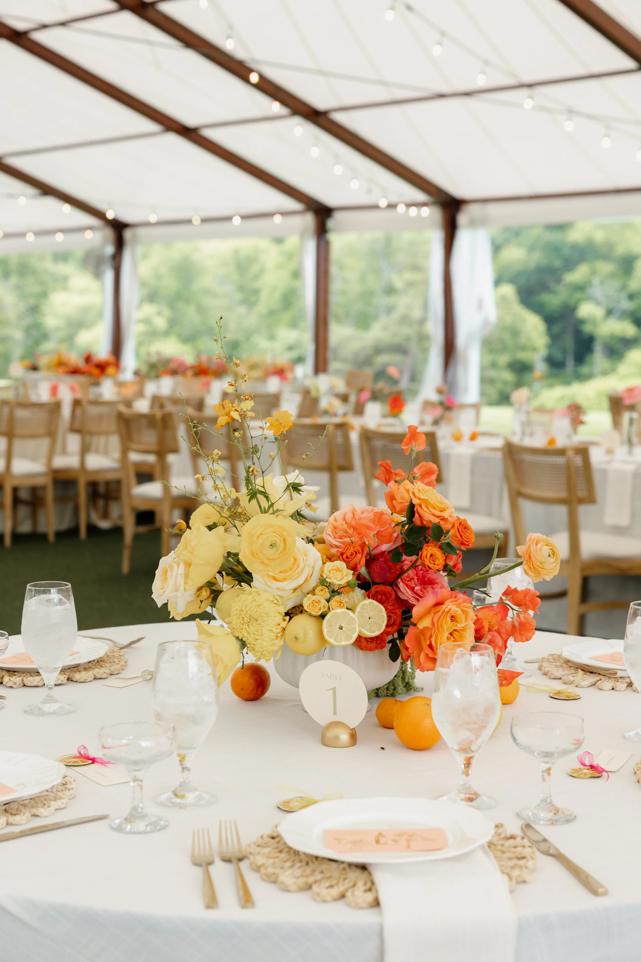 RebeccaCarmelPhotography-115.jpg