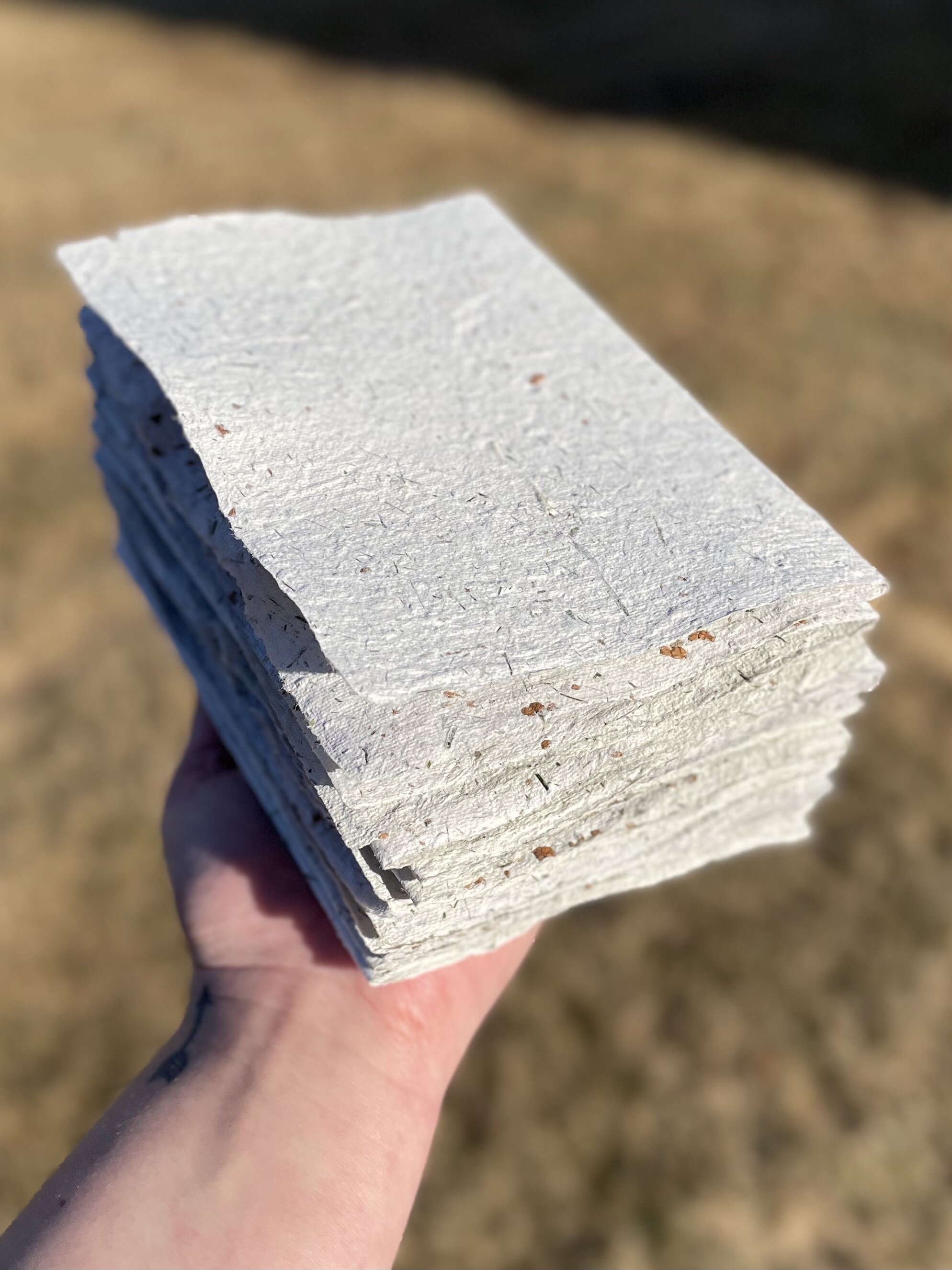 Making Handmade Grass Paper — Miner Book Co.