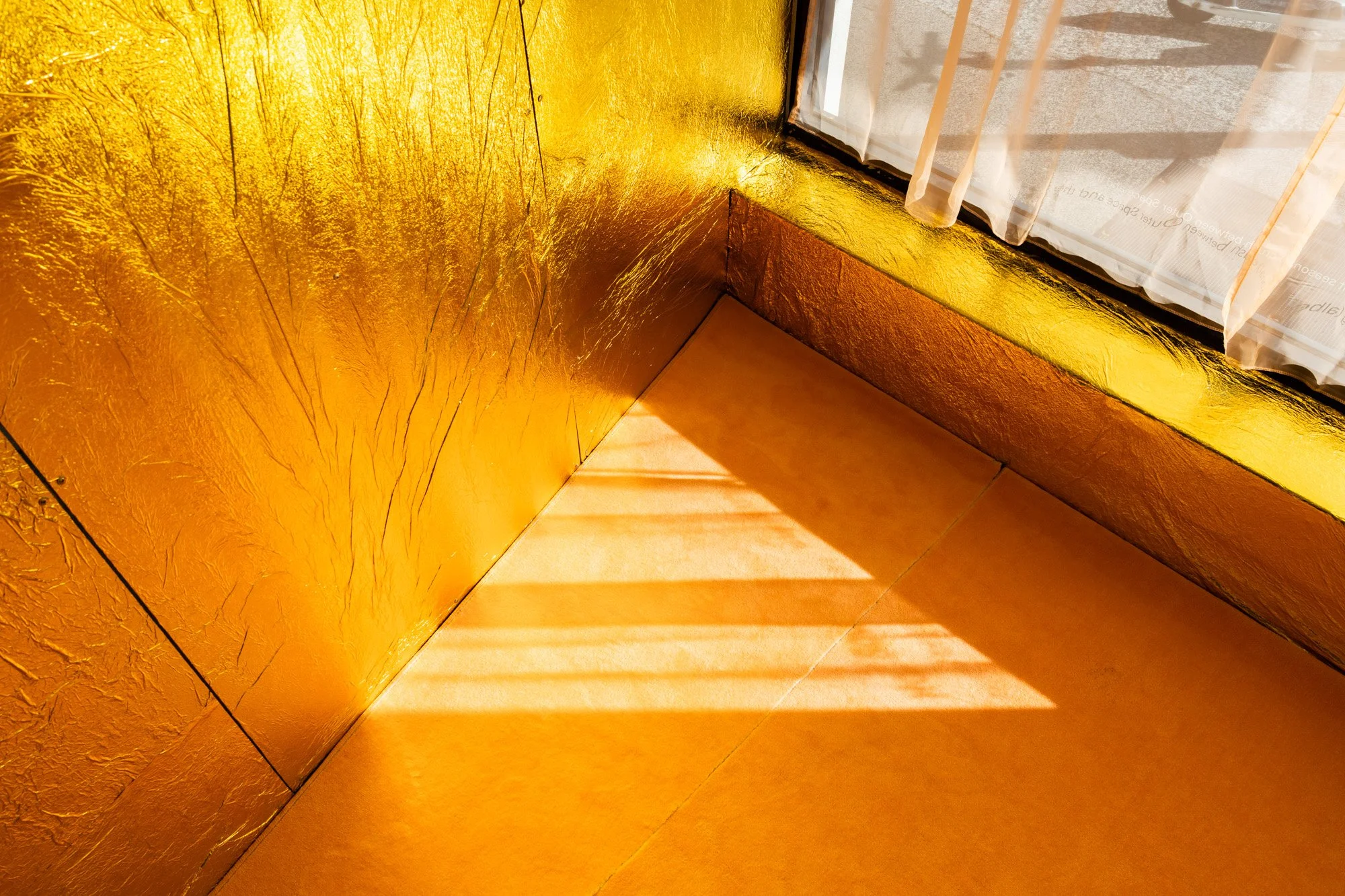 Outerspace 20260207 LR-35.jpg