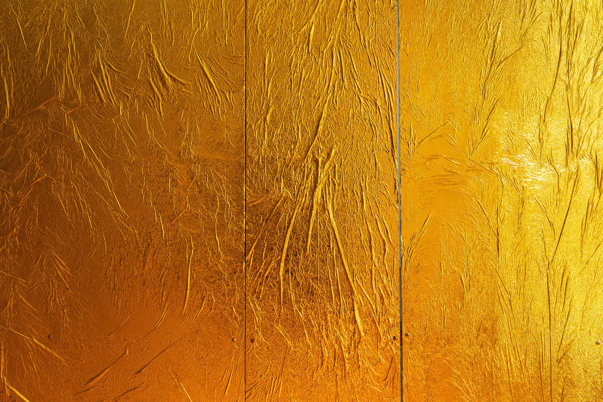 Outerspace 20260207 LR-22.jpg