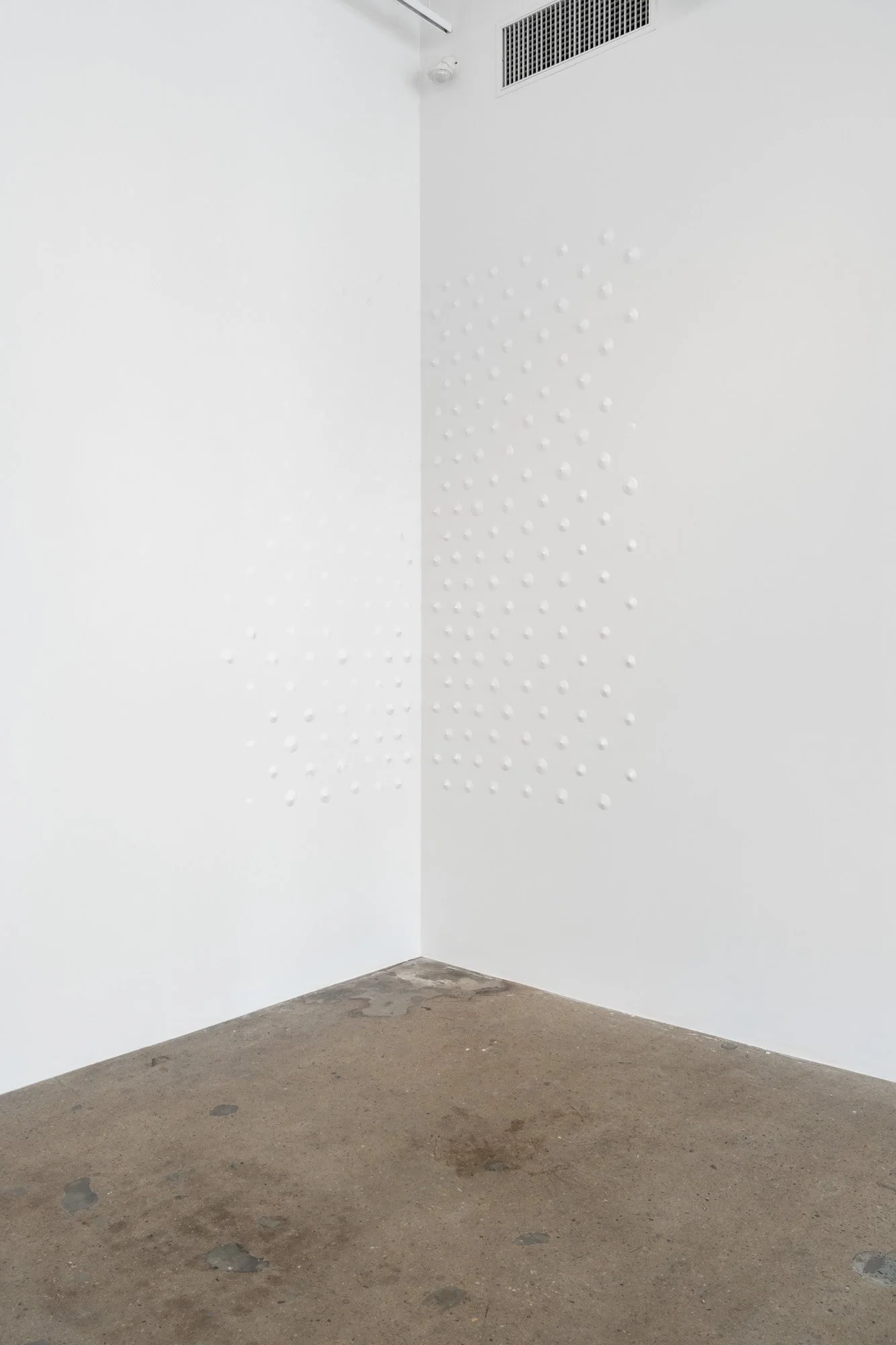 Outerspace 20260207 LR-10.jpg