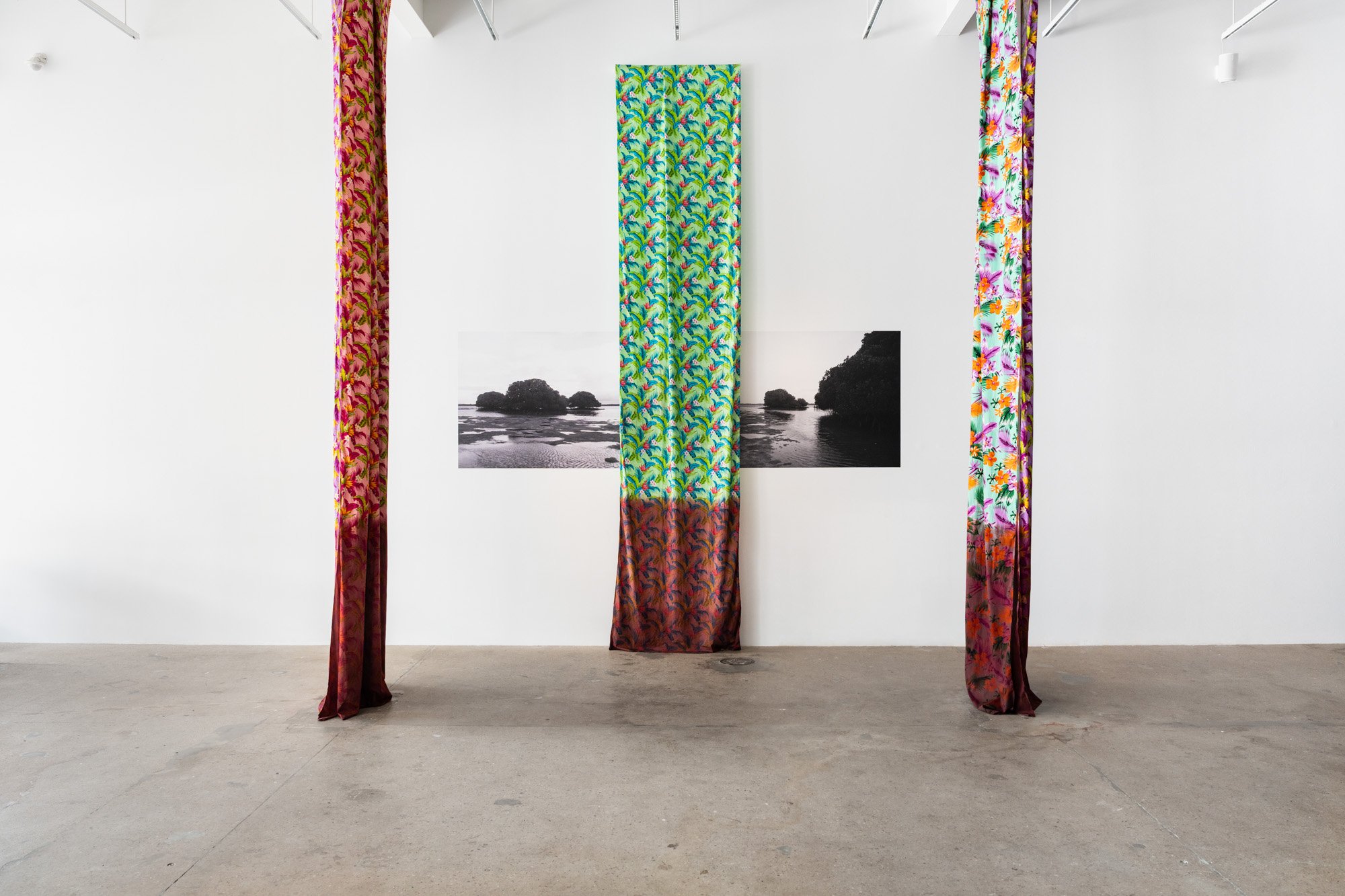 Outerspace 20260321 LR-3.jpg