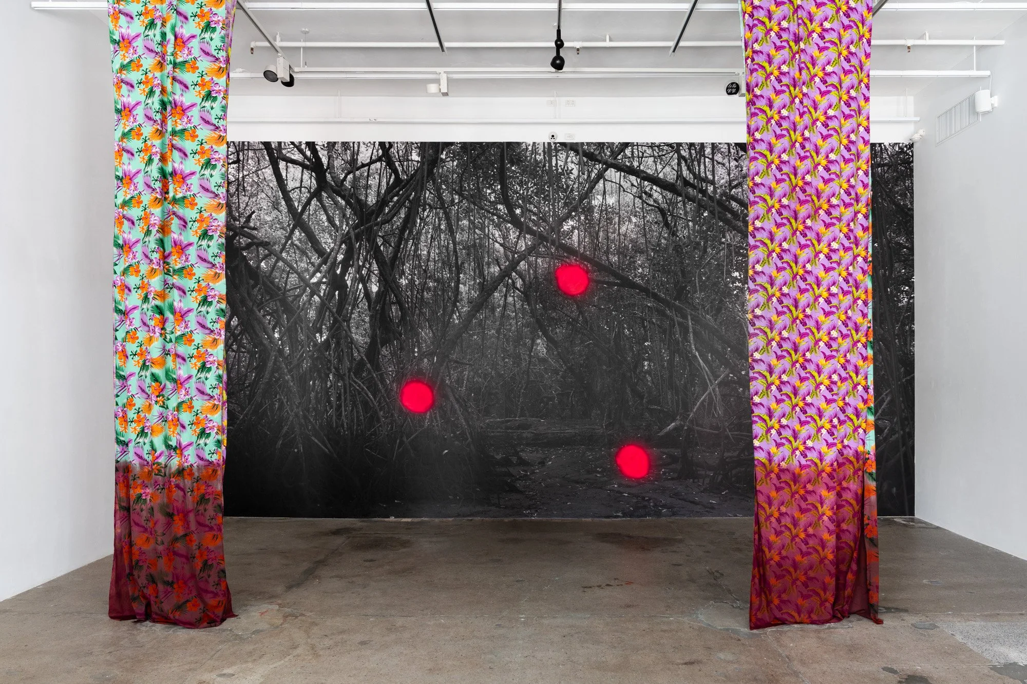 Outerspace 20260321 LR-1.jpg