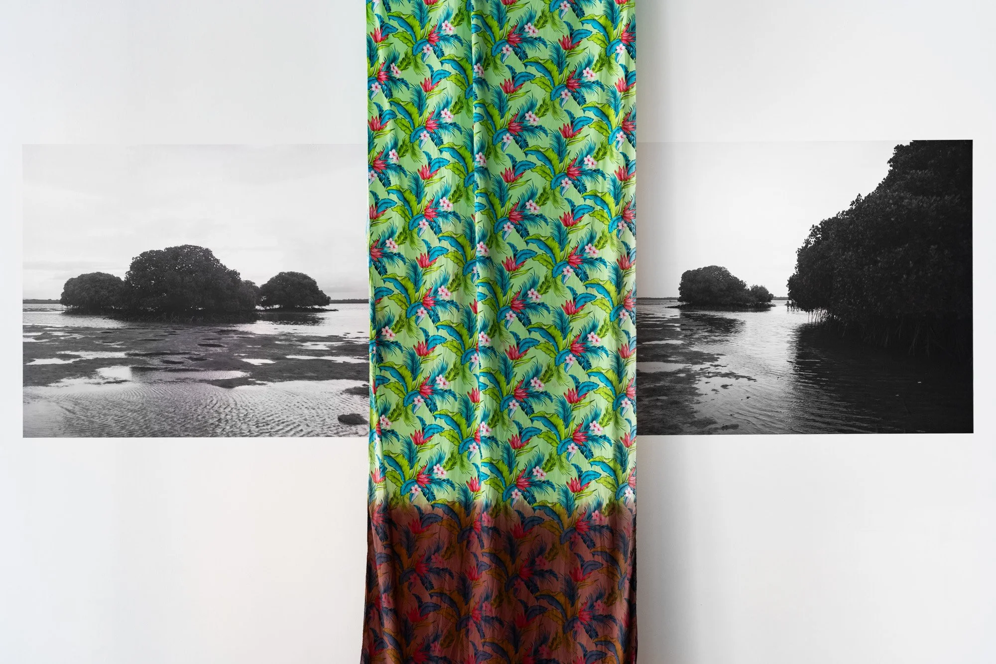 Outerspace 20260321 LR-10.jpg