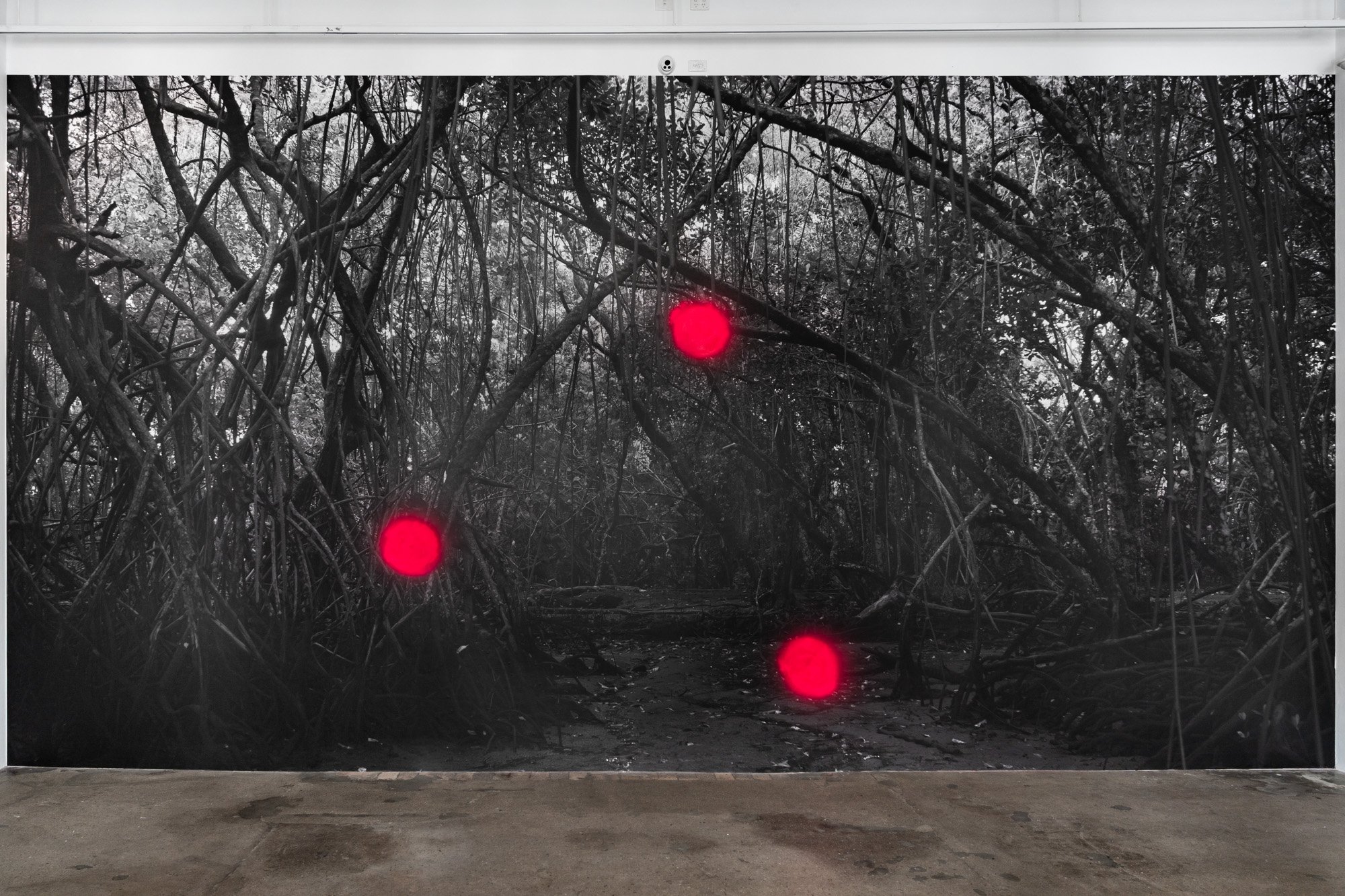 Outerspace 20260321 LR-12.jpg