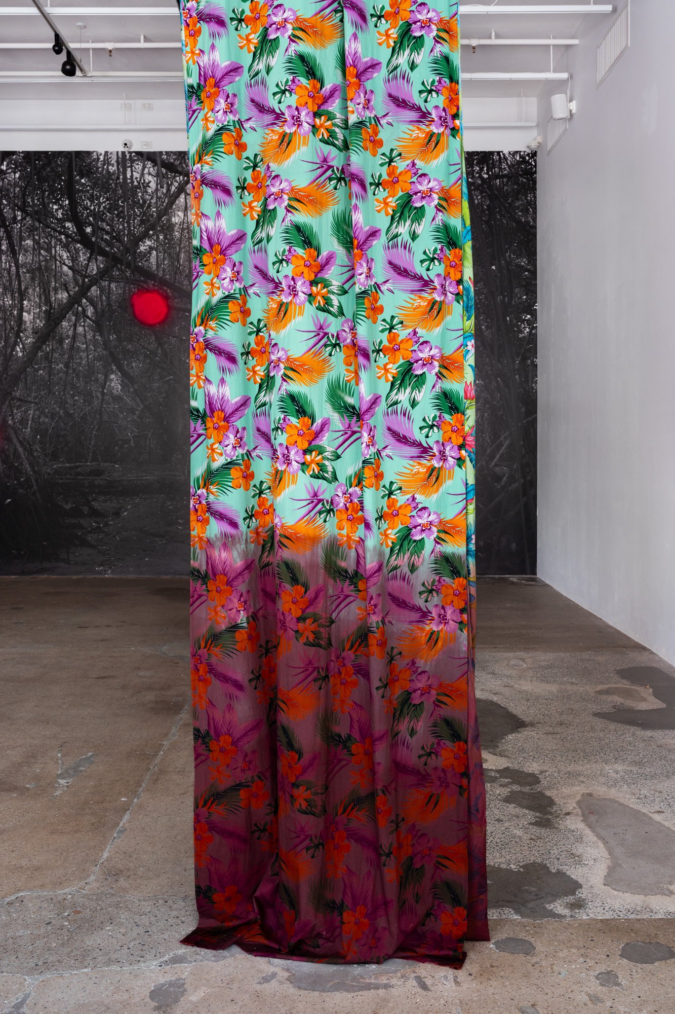 Outerspace 20260321 LR-15.jpg