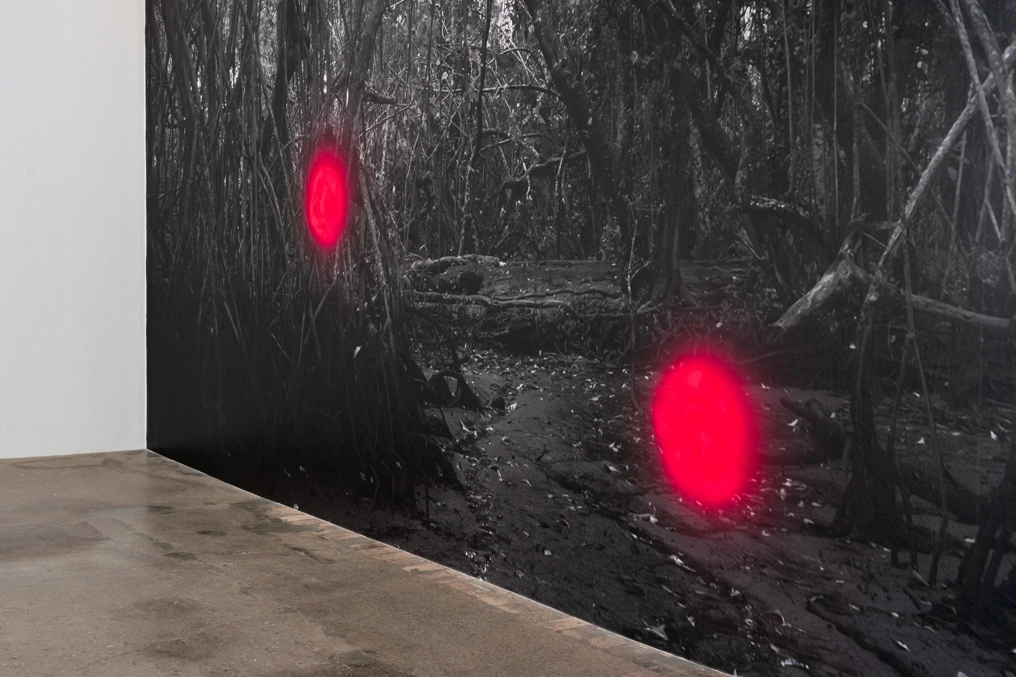 Outerspace 20260321 LR-17.jpg