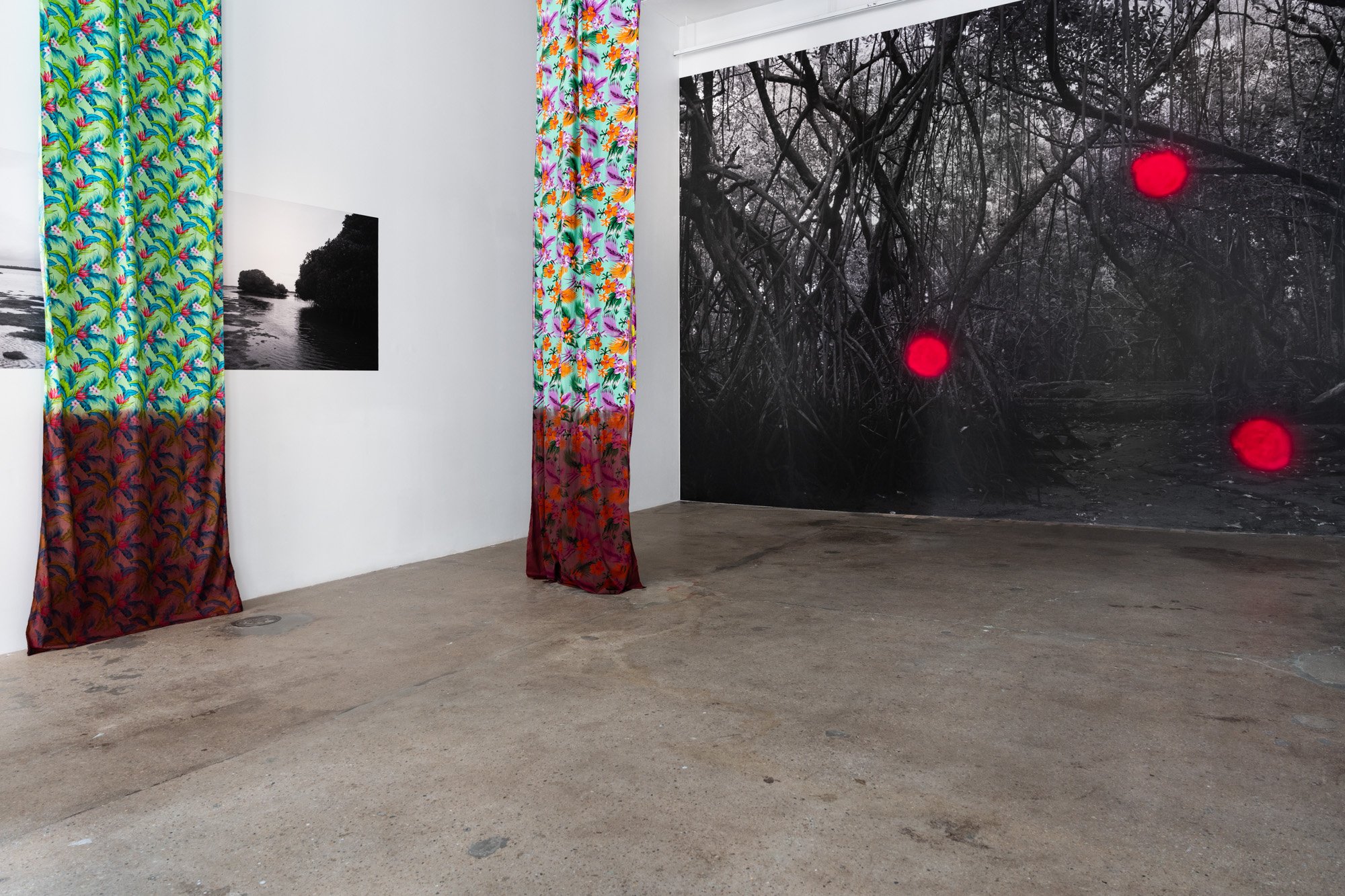 Outerspace 20260321 LR-20.jpg