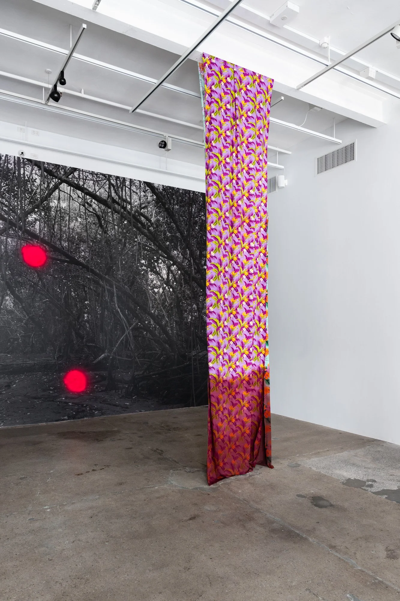 Outerspace 20260321 LR-21.jpg