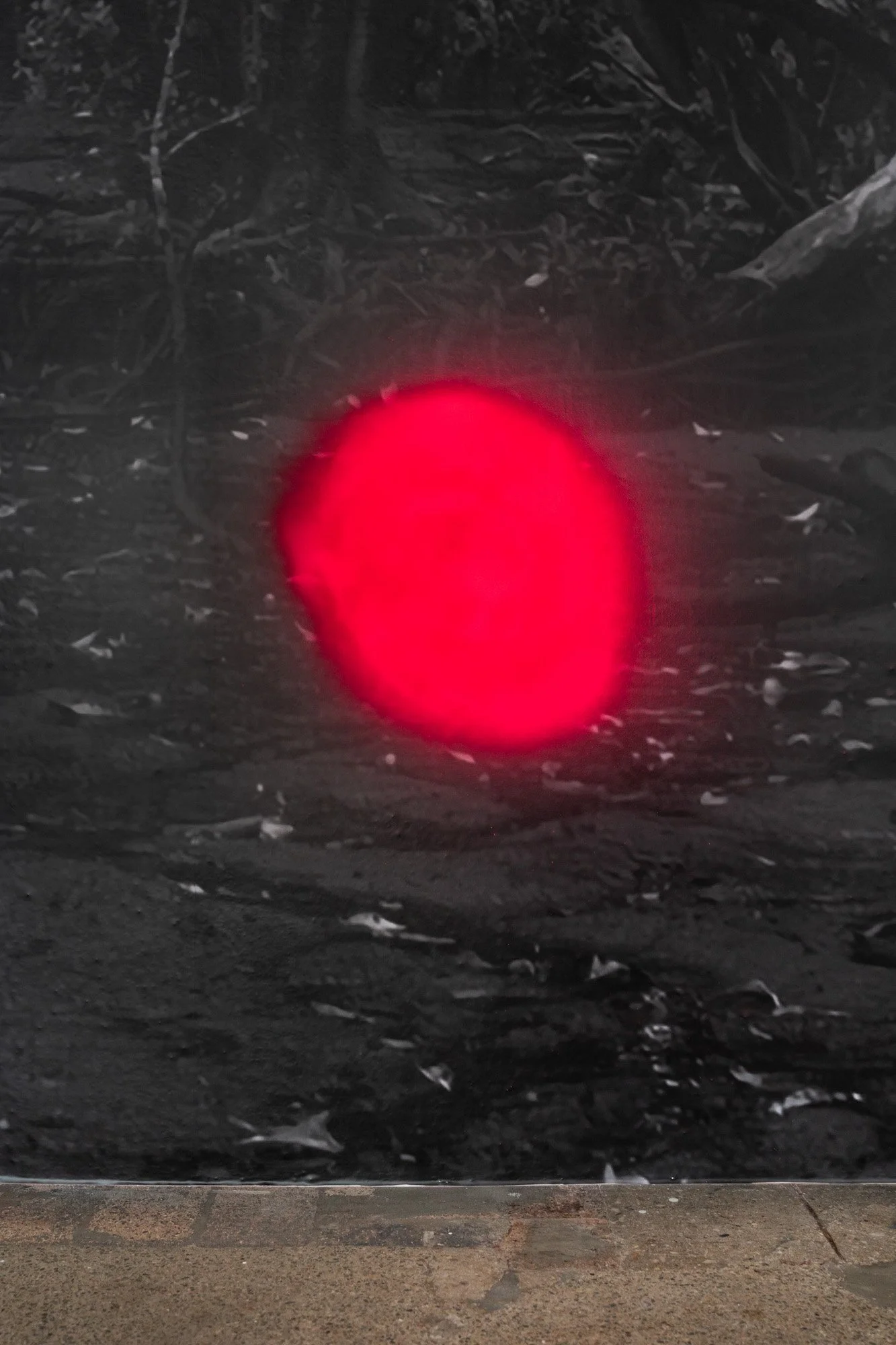 Outerspace 20260321 LR-24.jpg