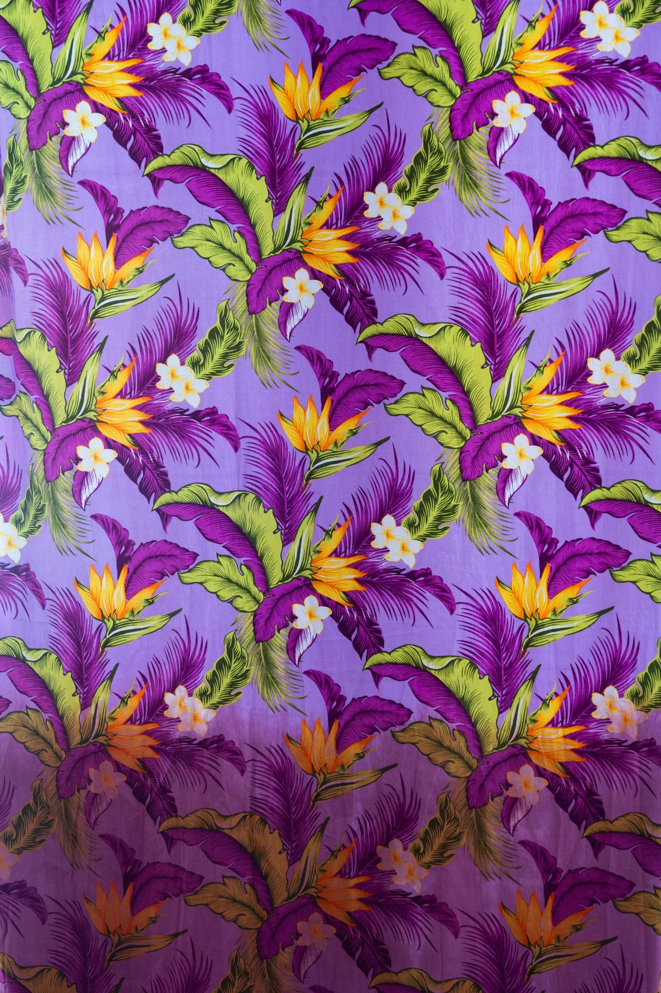 Outerspace 20260321 LR-27.jpg