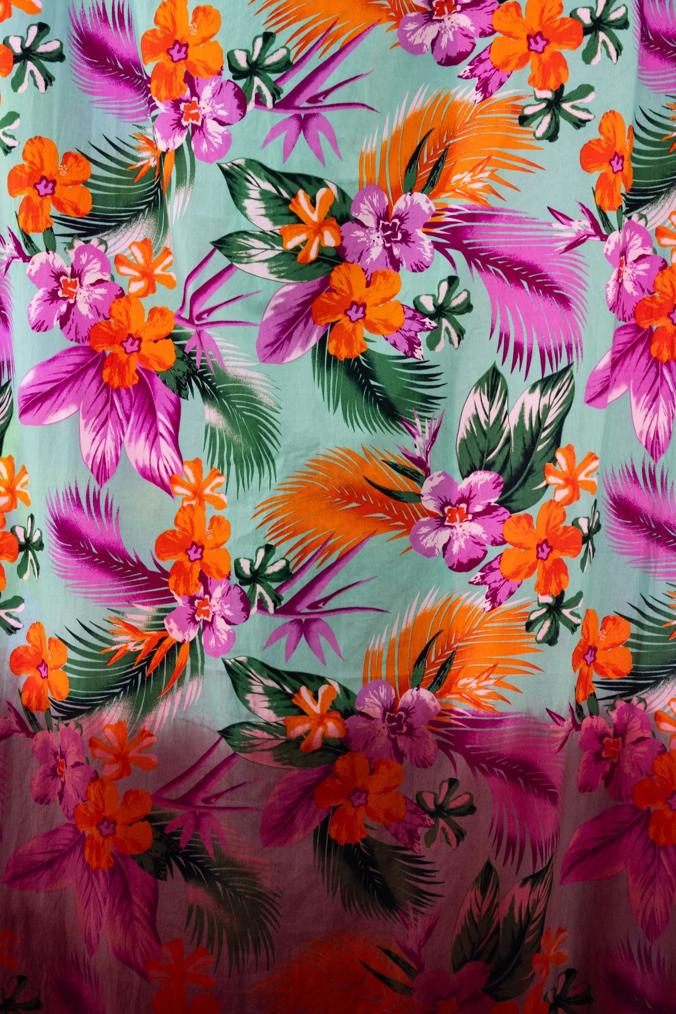 Outerspace 20260321 LR-28.jpg