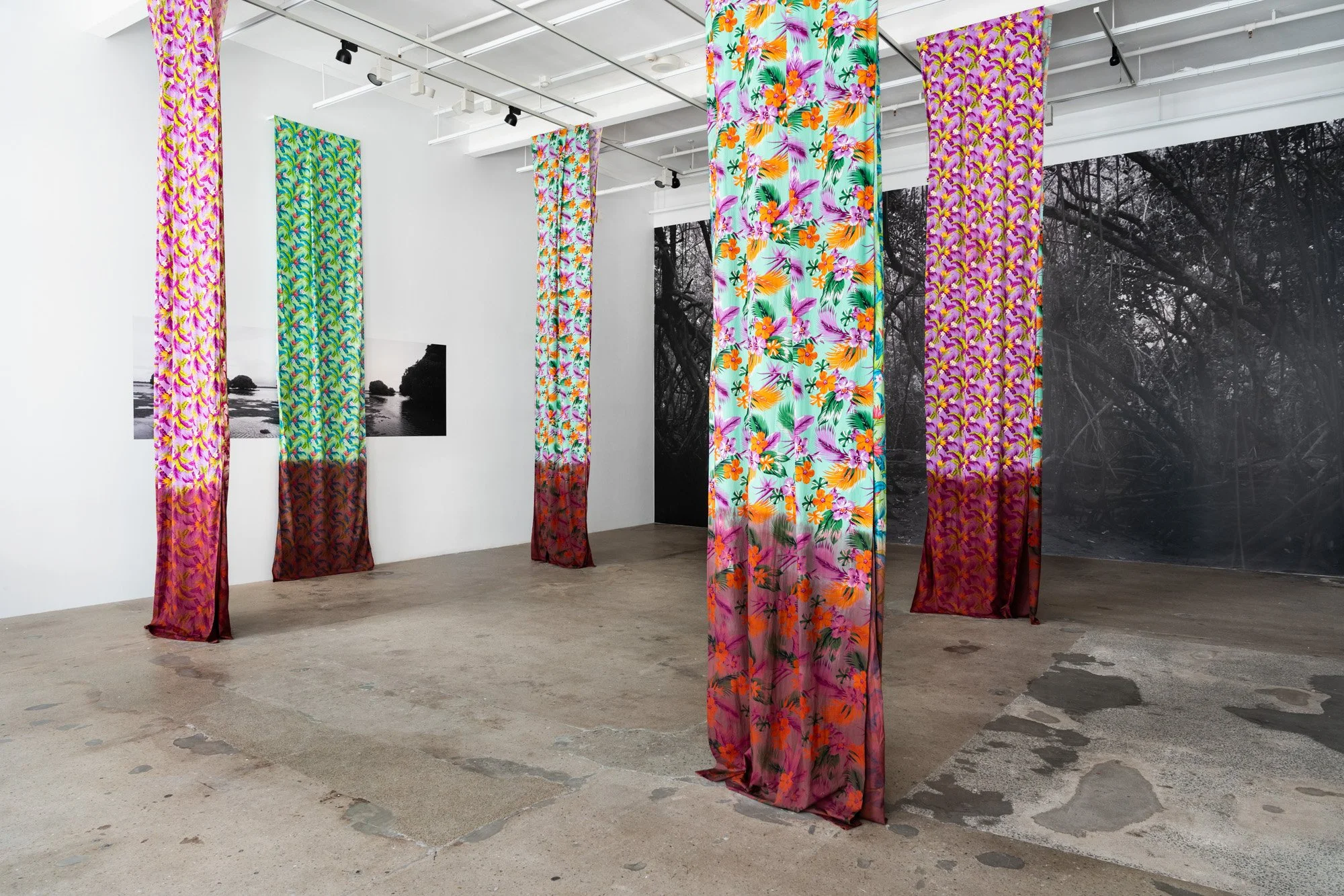 Outerspace 20260321 LR-29.jpg