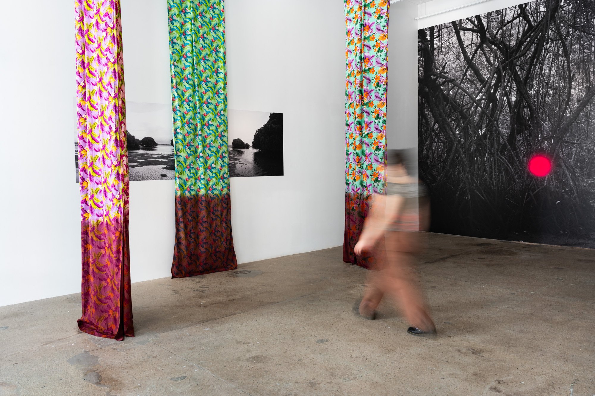 Outerspace 20260321 LR-37.jpg